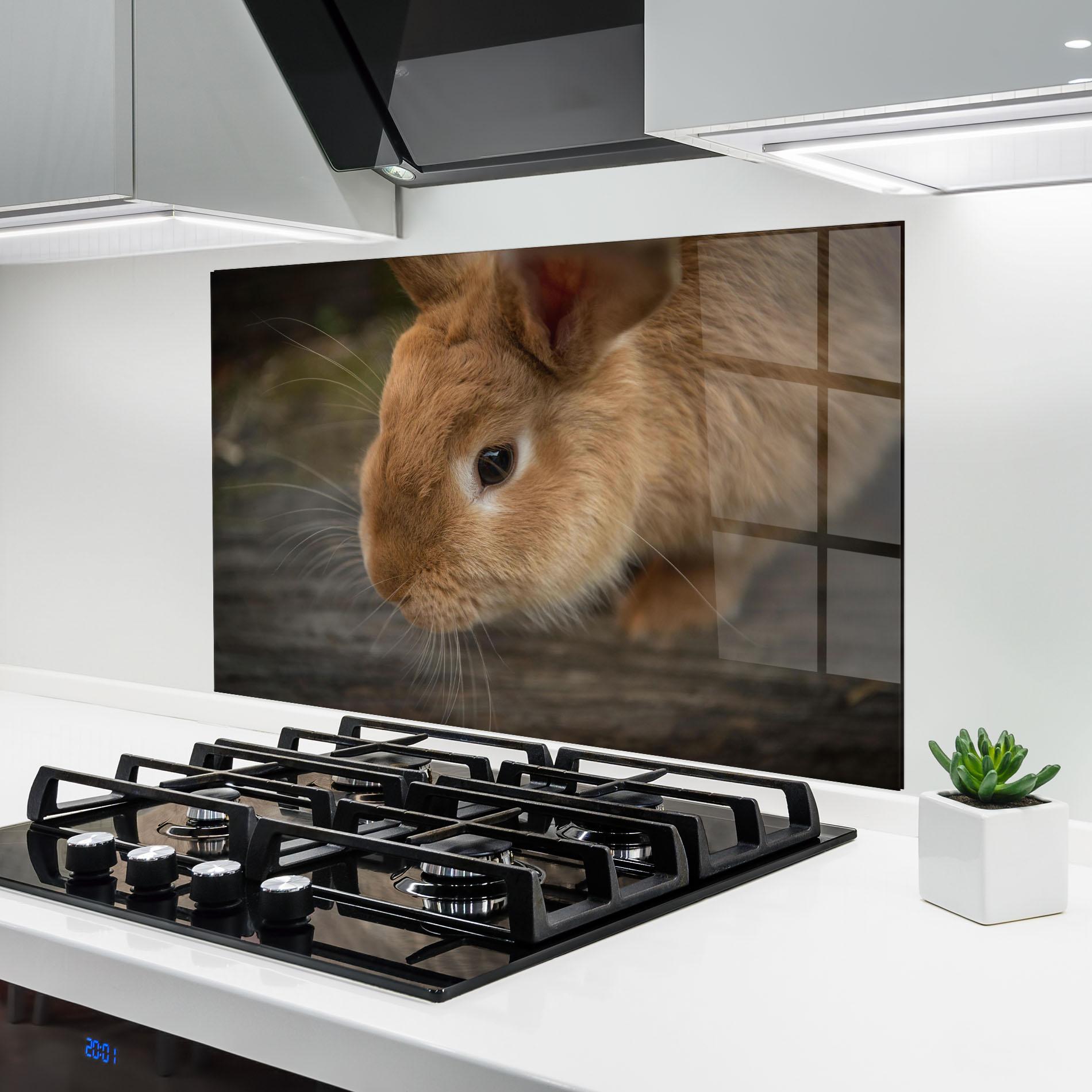 Küchenrückwand Glas Orange Bunny Looking mockup 6