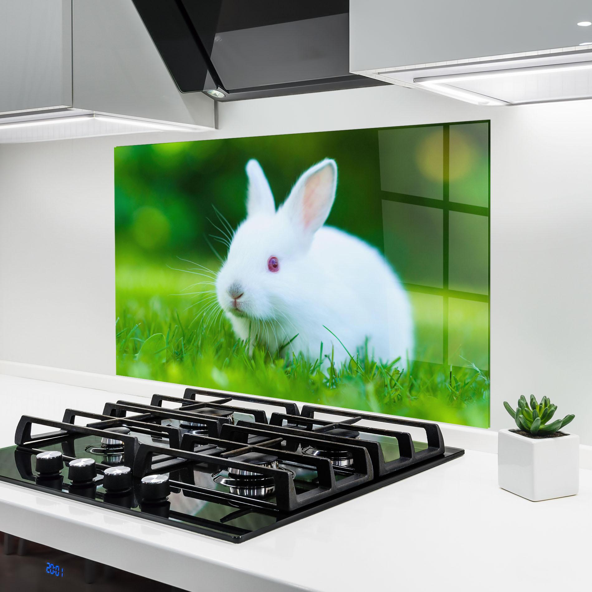 Küchenrückwand Glas Red Eye Bunny mockup 6