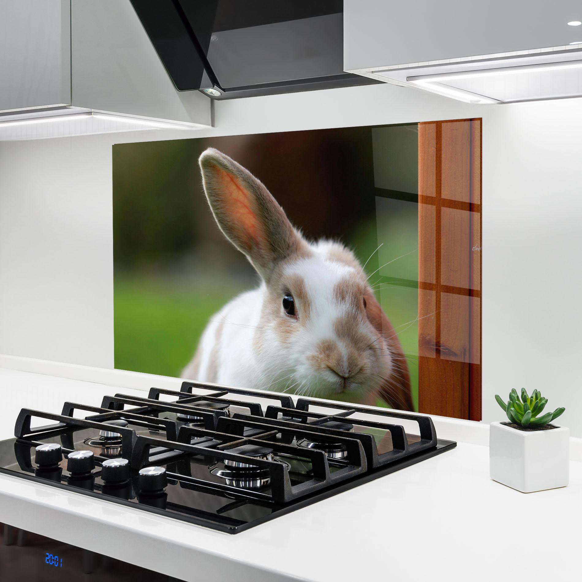 Küchenrückwand Glas Up Ear Bunny mockup 6