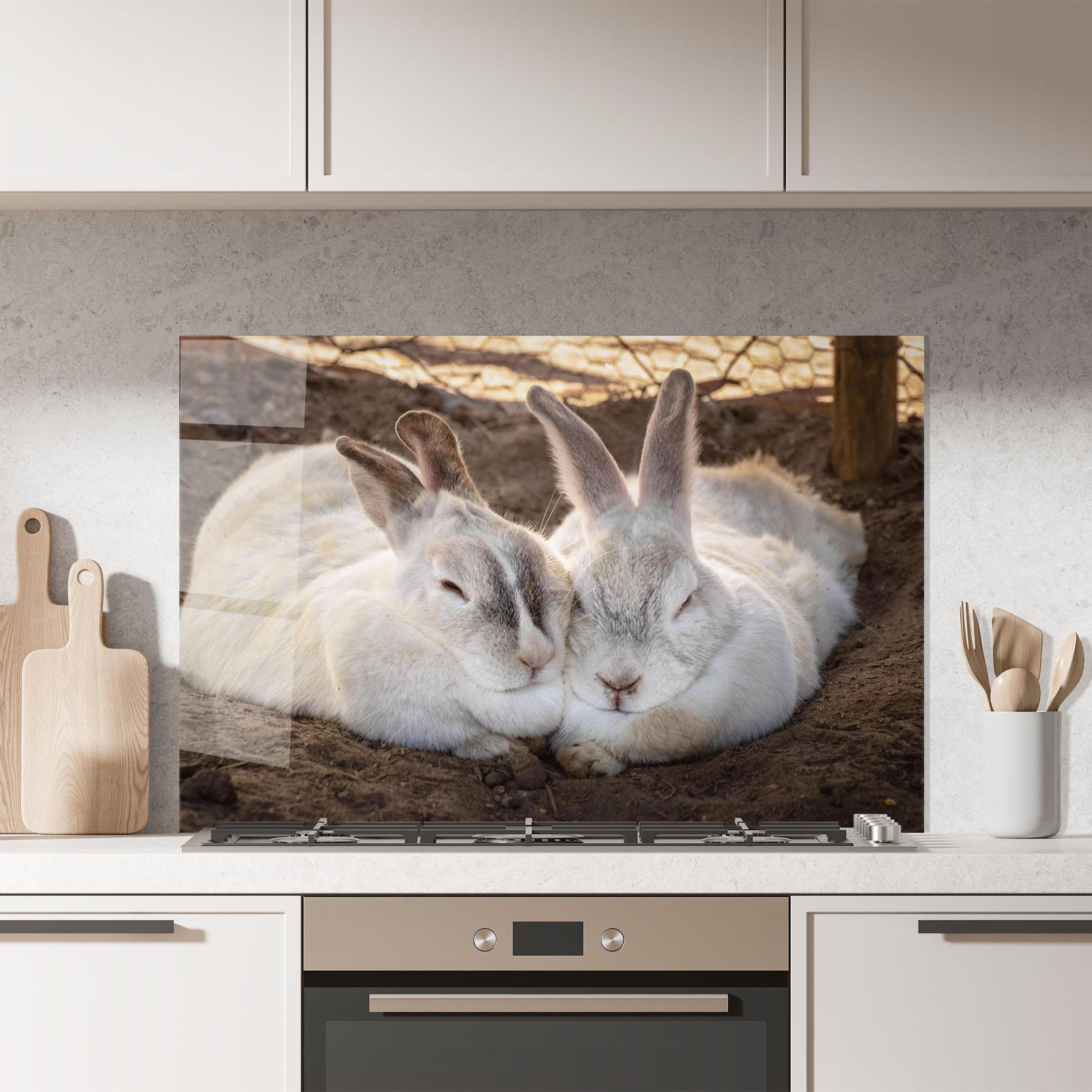 Küchenrückwand Glas Light Grey Bunny Sleeping mockup 7
