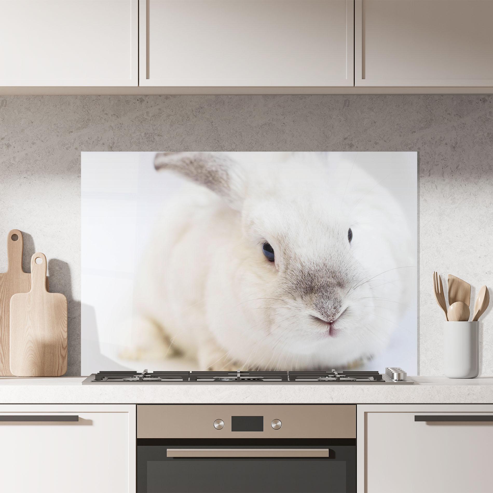 Küchenrückwand Glas Light Grey Bunny mockup 7