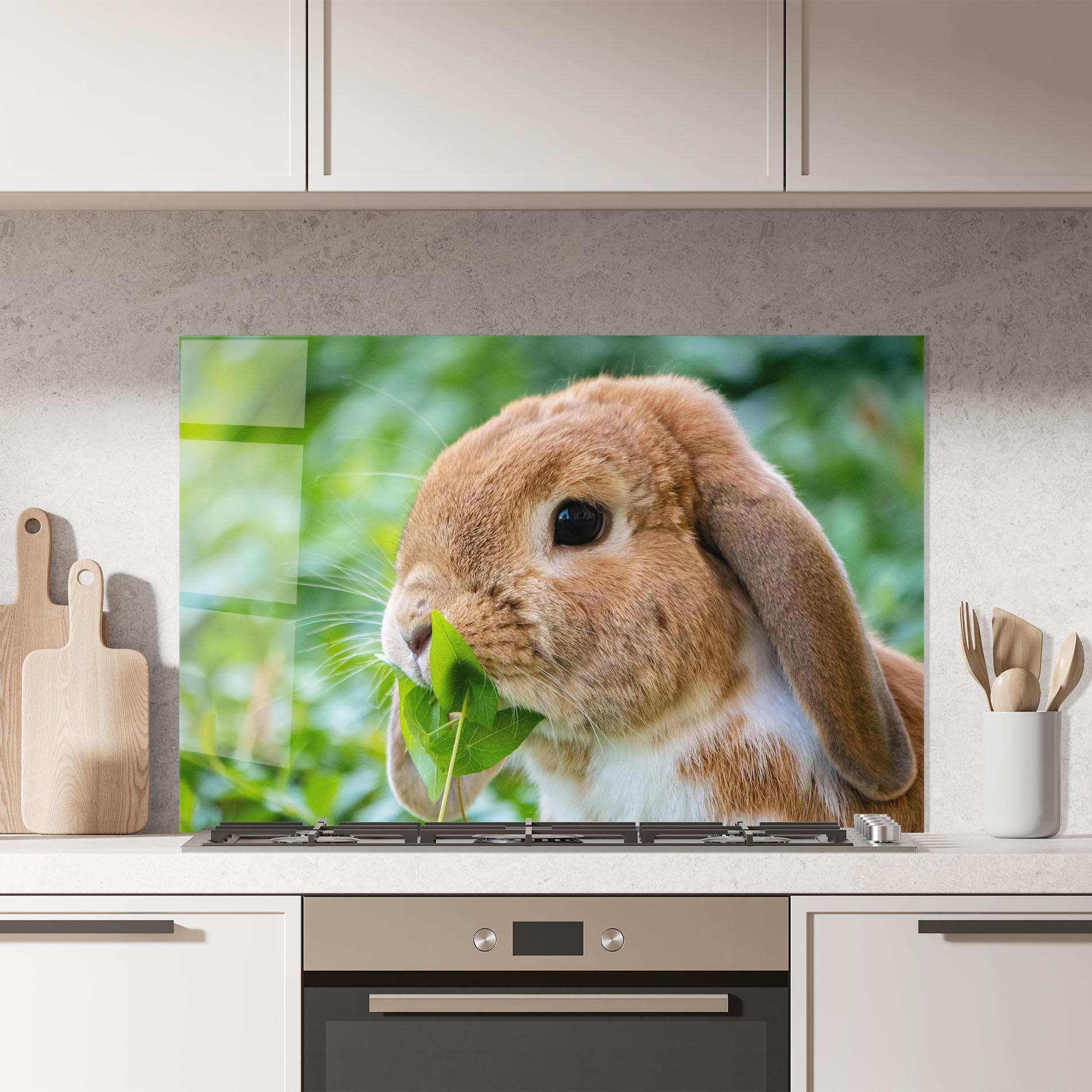 Küchenrückwand Glas Orange Bunny Eating mockup 7