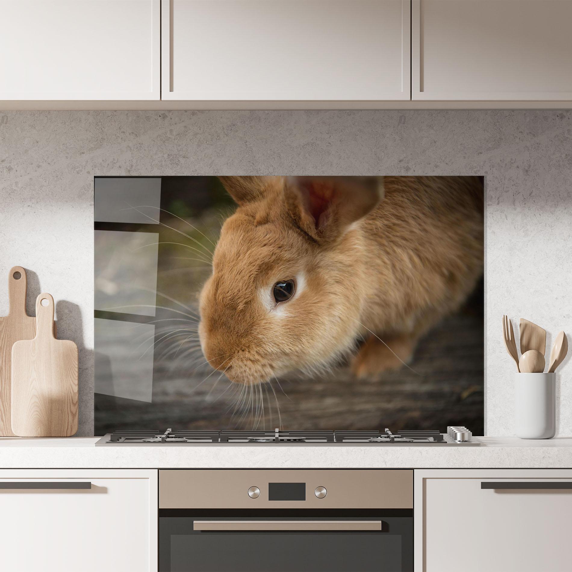Küchenrückwand Glas Orange Bunny Looking mockup 7