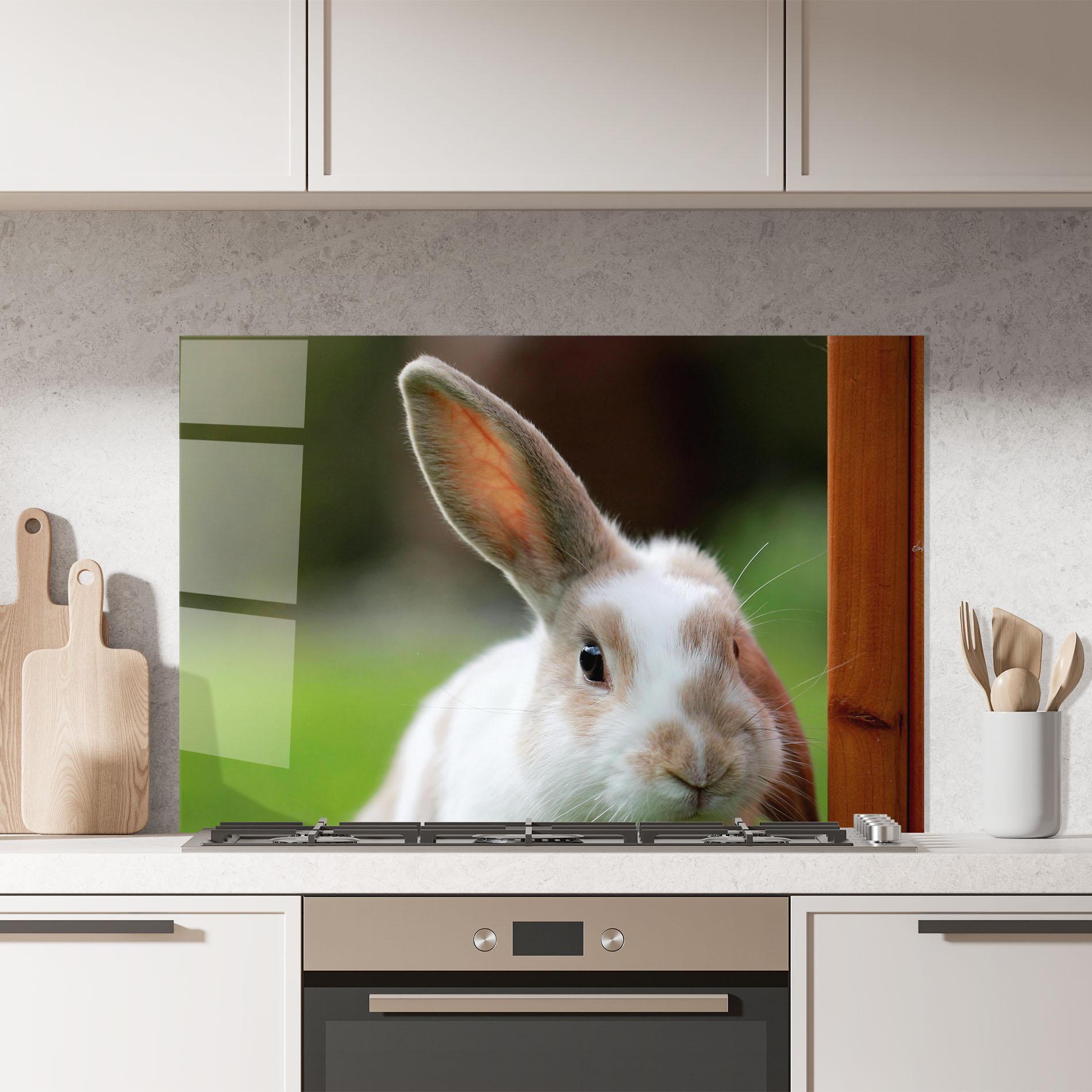 Küchenrückwand Glas Up Ear Bunny mockup 7