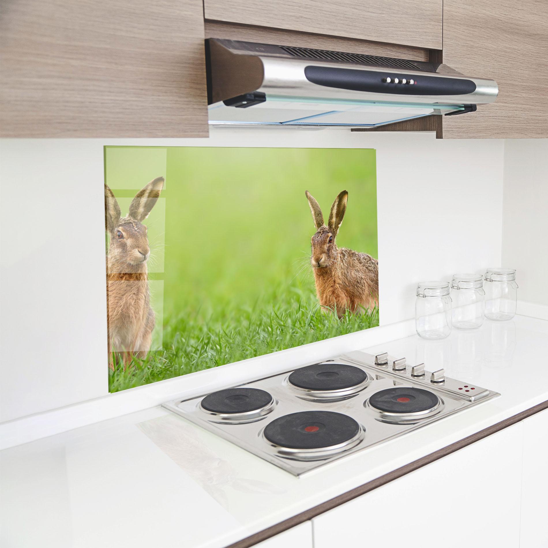 Küchenrückwand Glas Brown Hares mockup 8