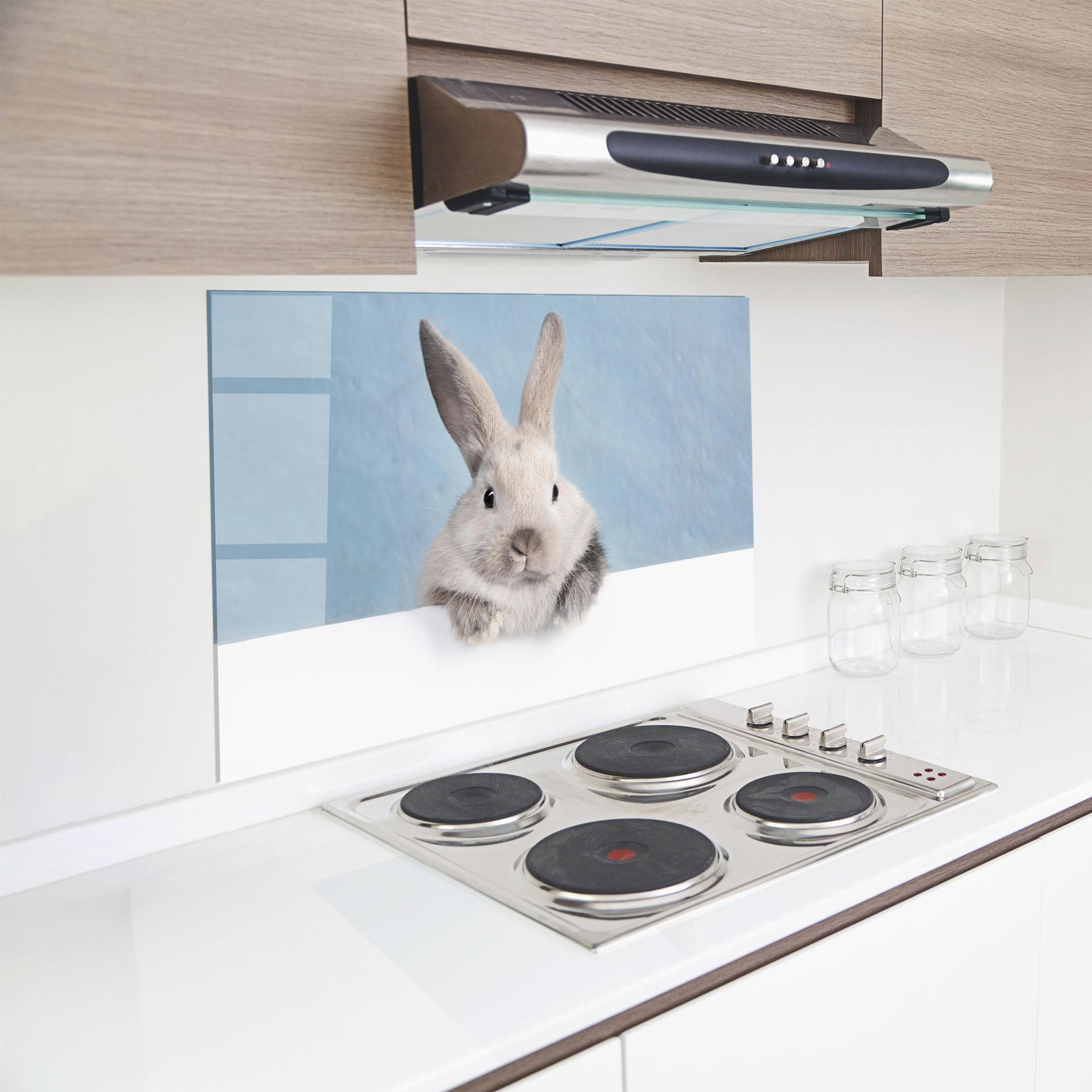Küchenrückwand Glas Cream Bunny mockup 8