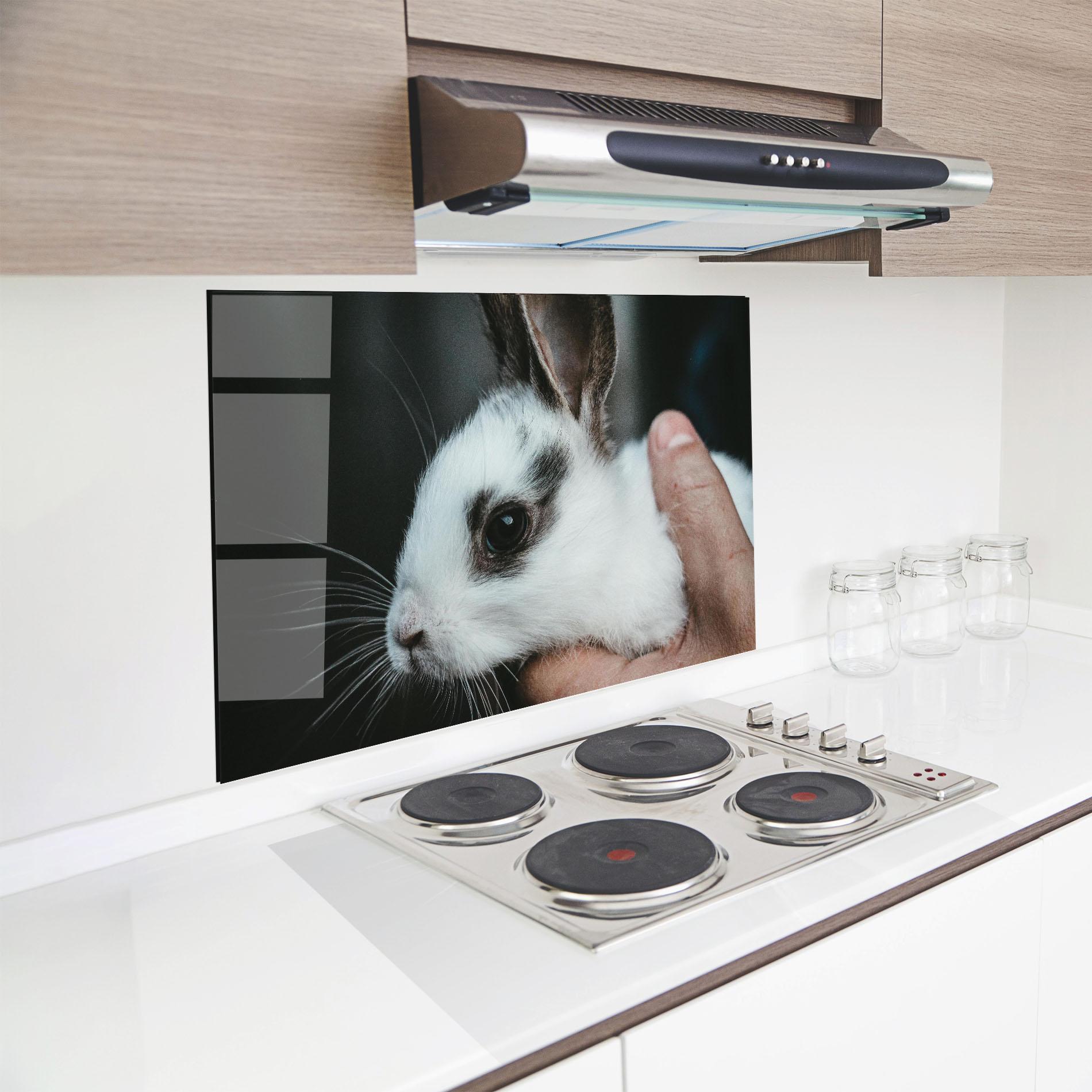 Küchenrückwand Glas Holding Cute Bunny mockup 8