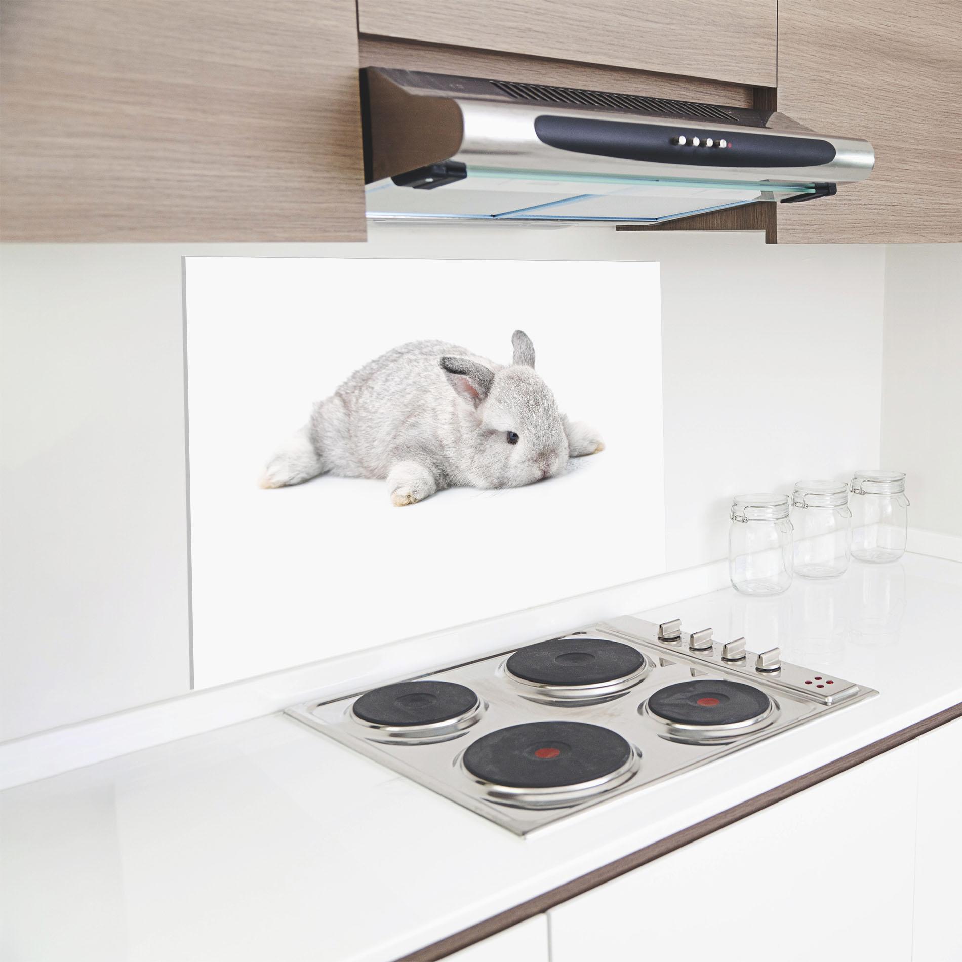 Küchenrückwand Glas Light Gray Bunny Sleeping mockup 8