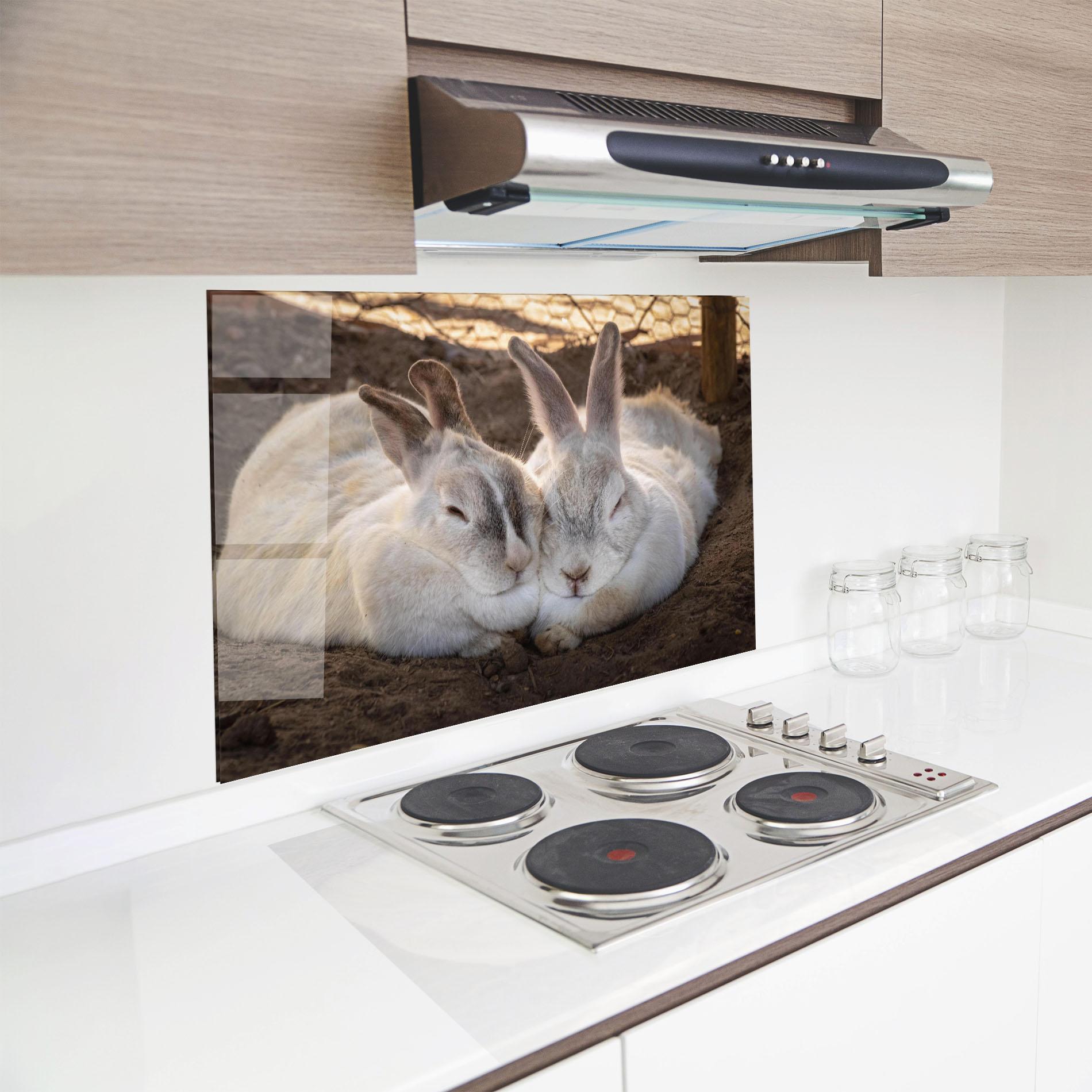 Küchenrückwand Glas Light Grey Bunny Sleeping mockup 8