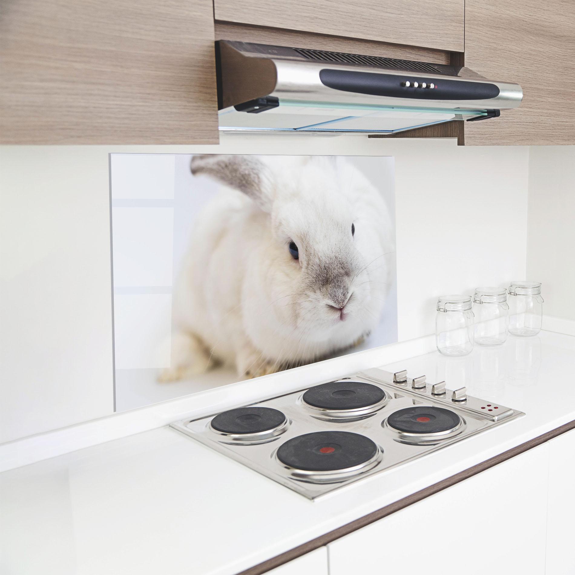 Küchenrückwand Glas Light Grey Bunny mockup 8