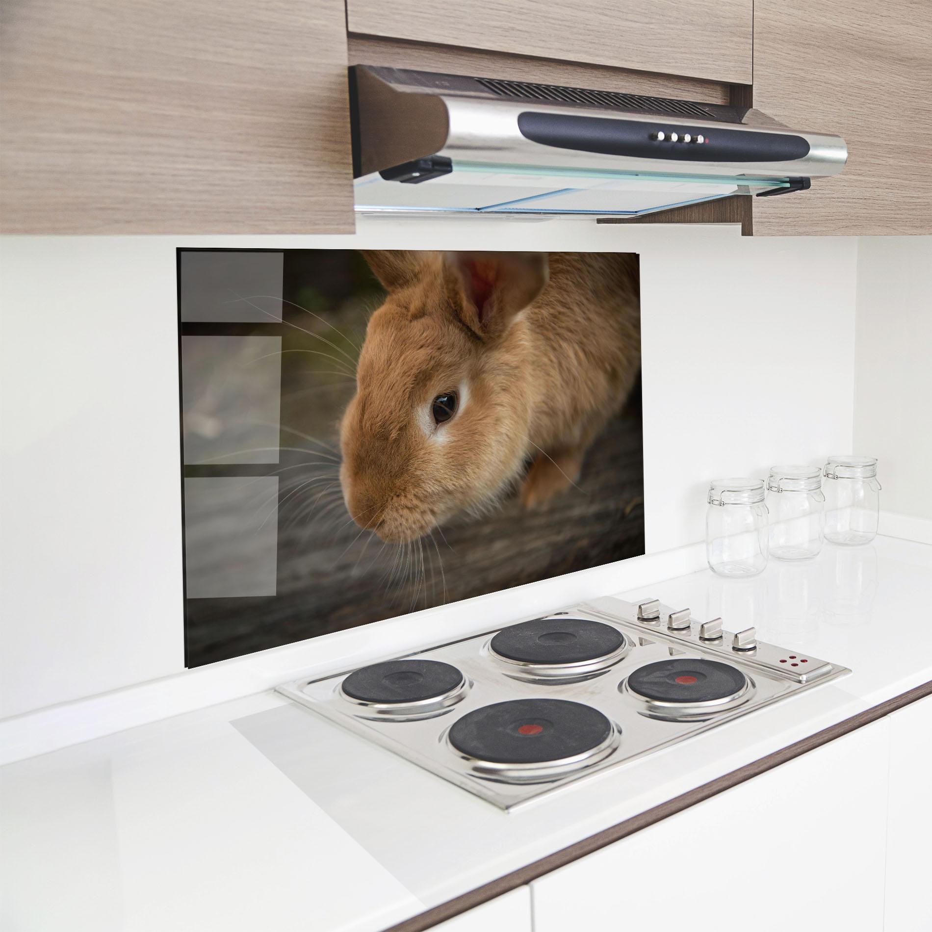 Küchenrückwand Glas Orange Bunny Looking mockup 8