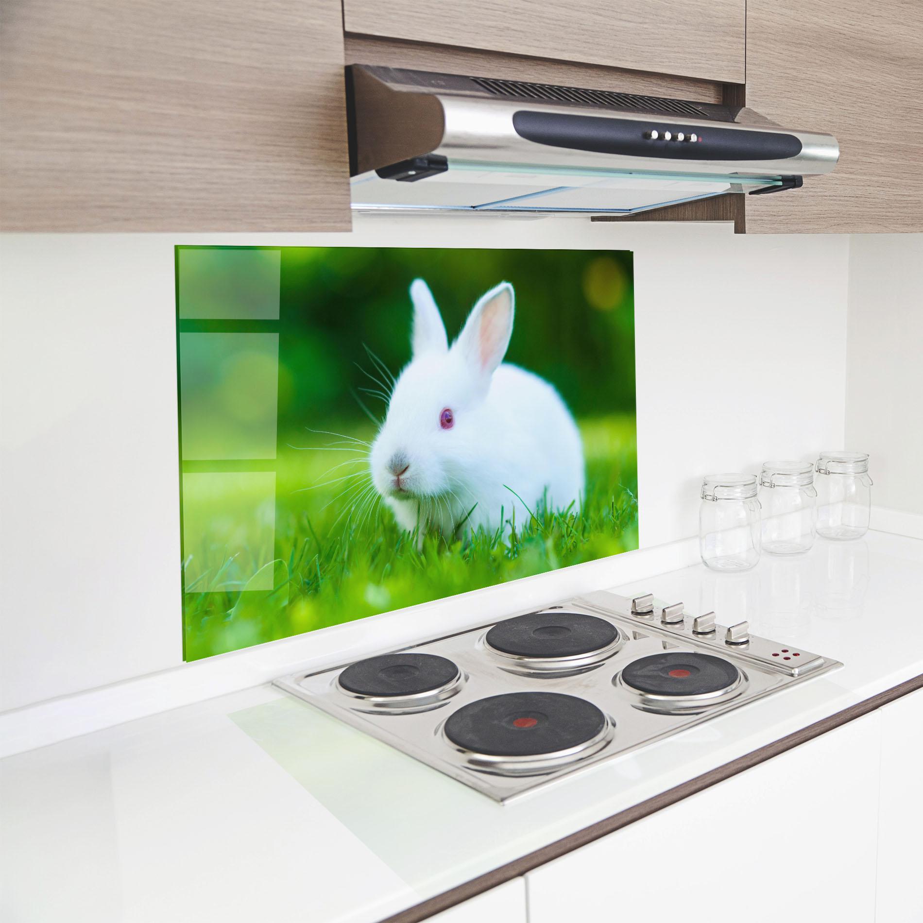Küchenrückwand Glas Red Eye Bunny mockup 8