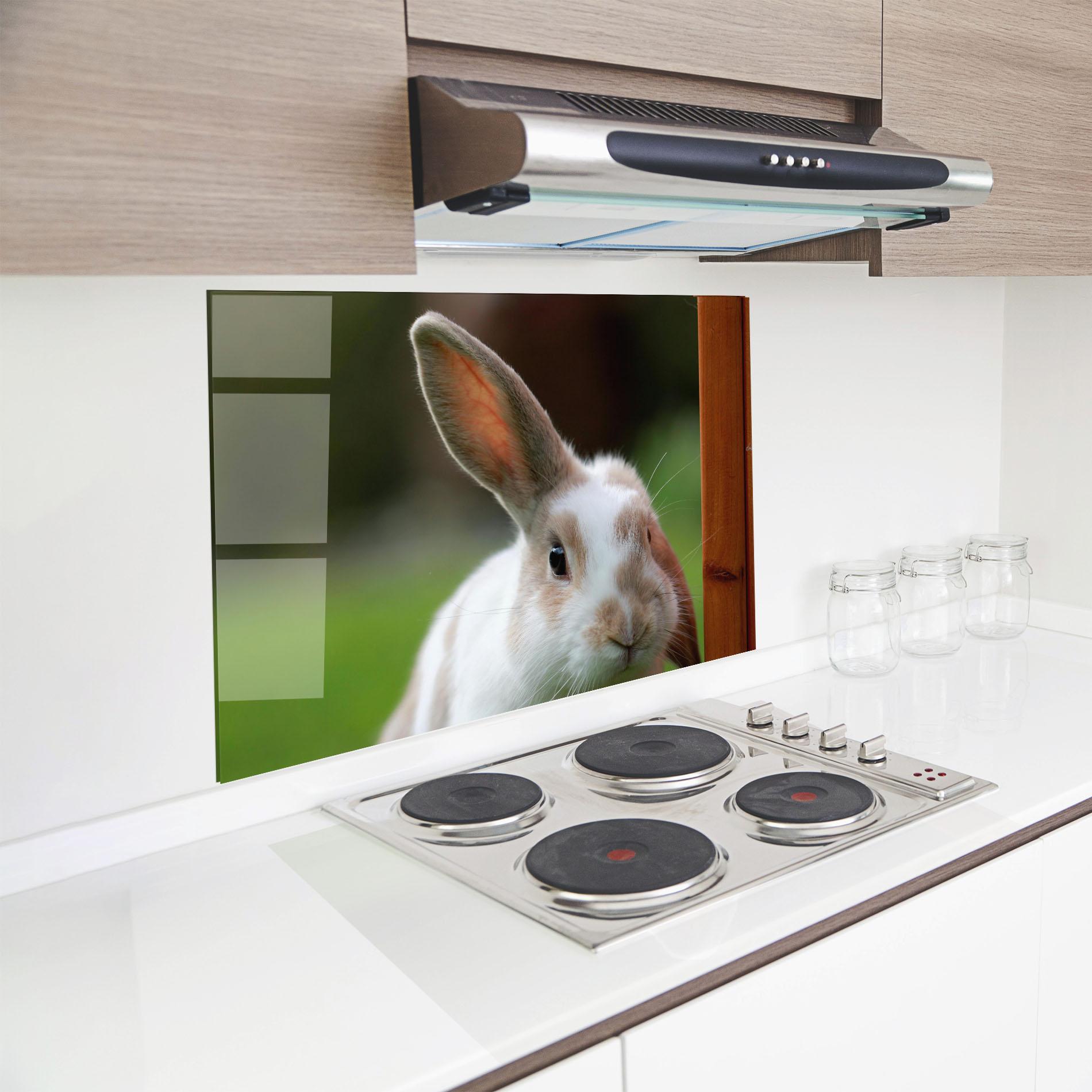 Küchenrückwand Glas Up Ear Bunny mockup 8