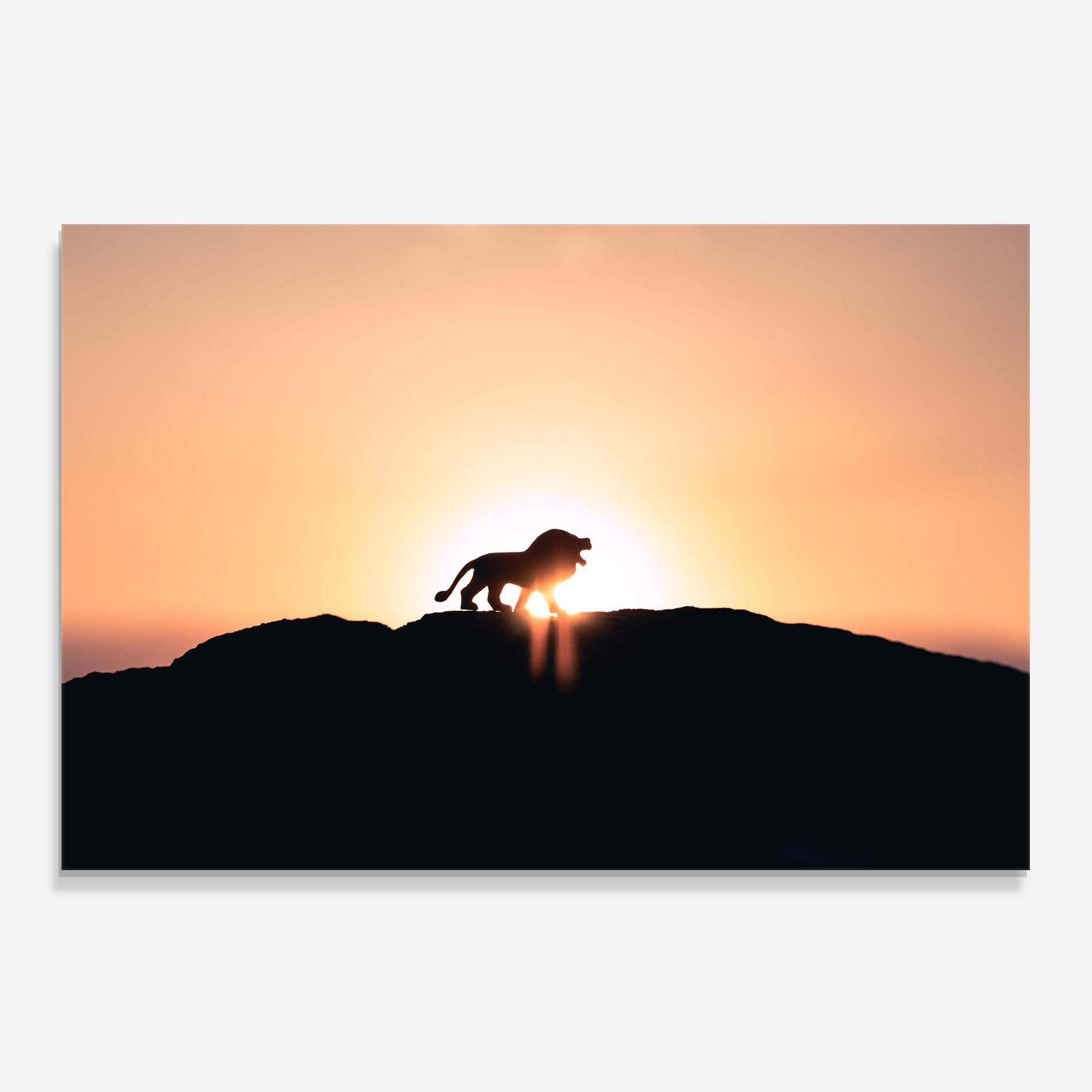 Küchenrückwand Glas Lion Shilouette mockup 0