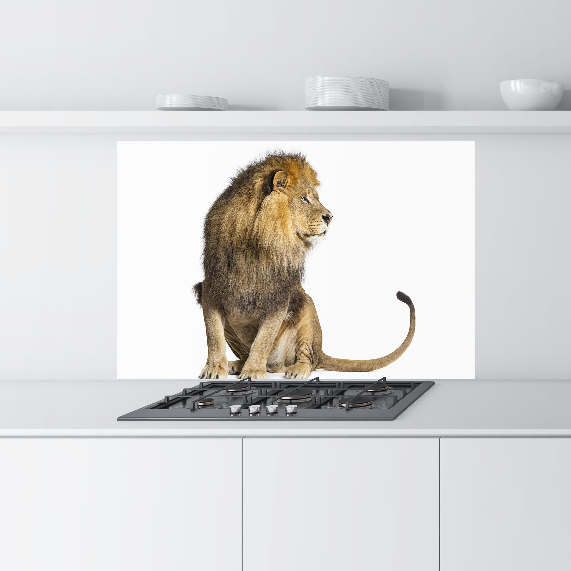 Big Lion mockup 9