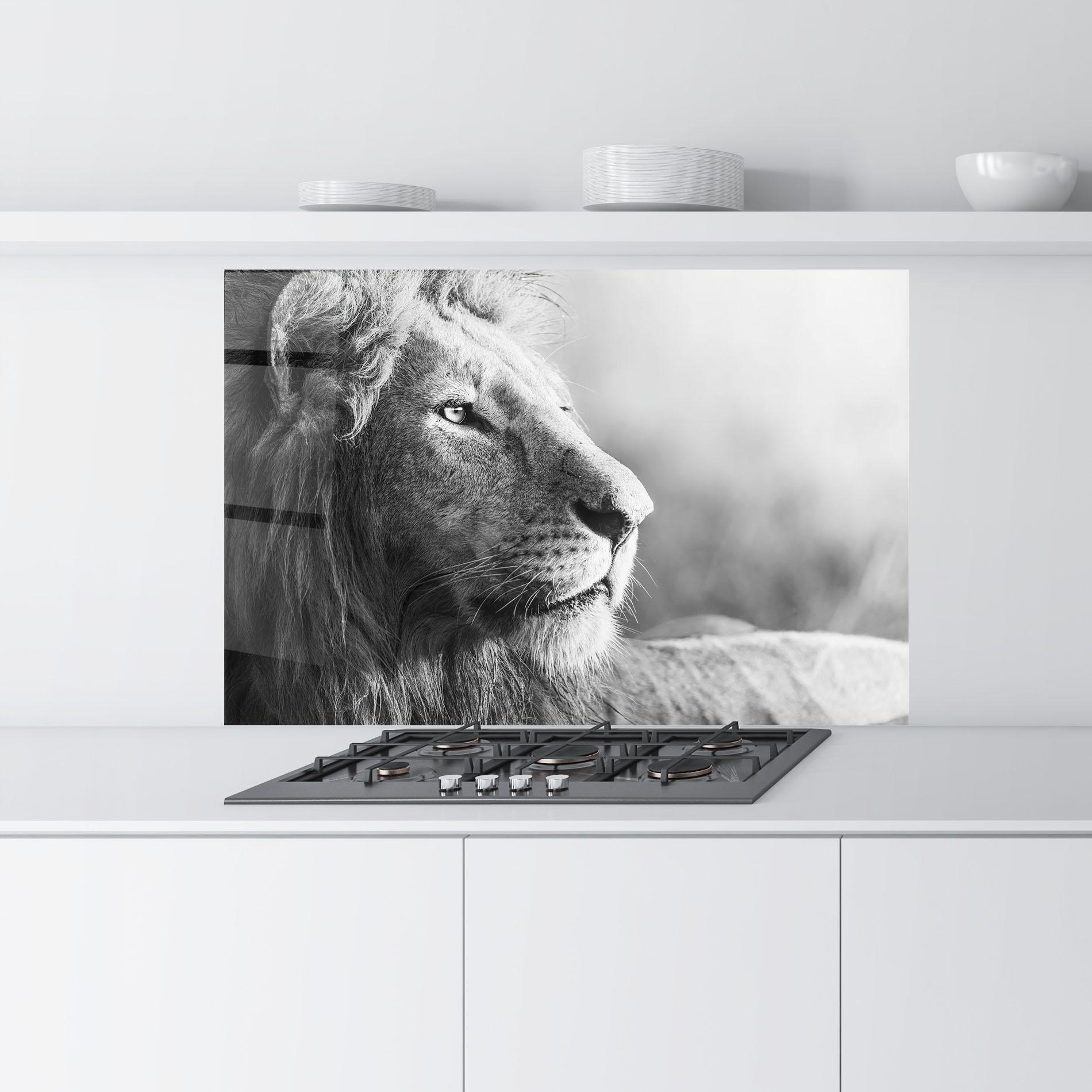 Küchenrückwand Glas Grey Lion Head mockup 9