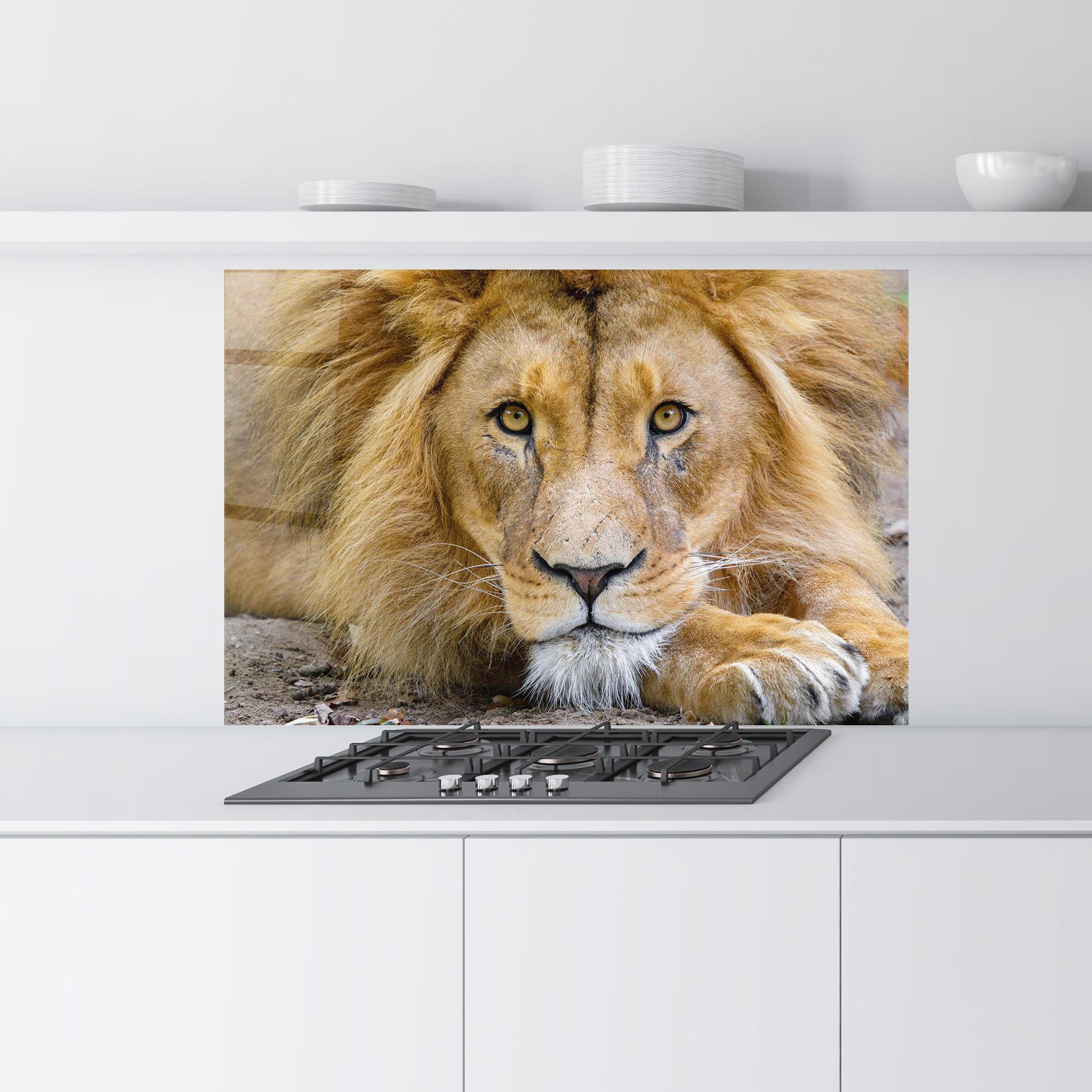 Küchenrückwand Glas Lion Looking mockup 9