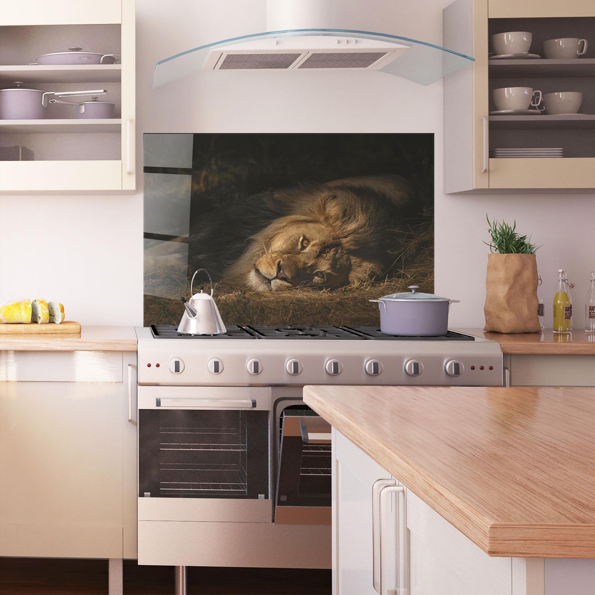 Küchenrückwand Glas Lion Laying Down mockup 1