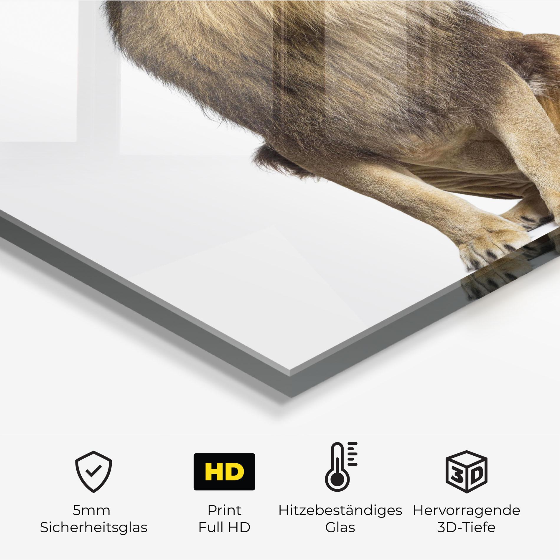 Küchenrückwand Glas Big Lion mockup 2