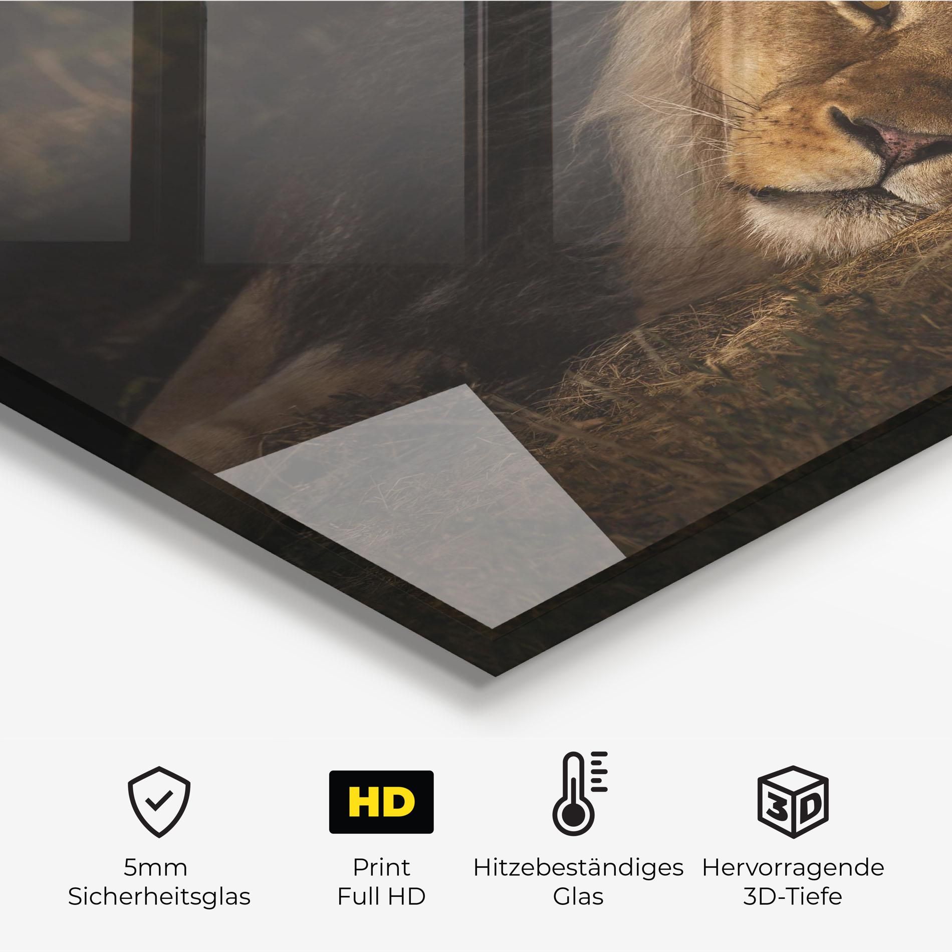 Lion Laying Down mockup 2