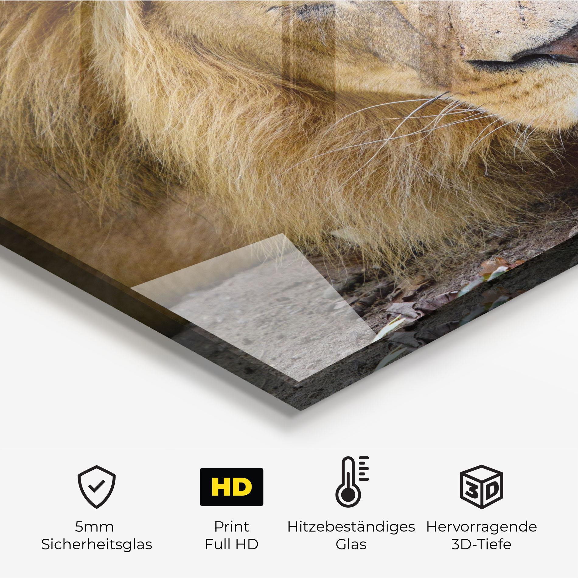 Küchenrückwand Glas Lion Looking mockup 2