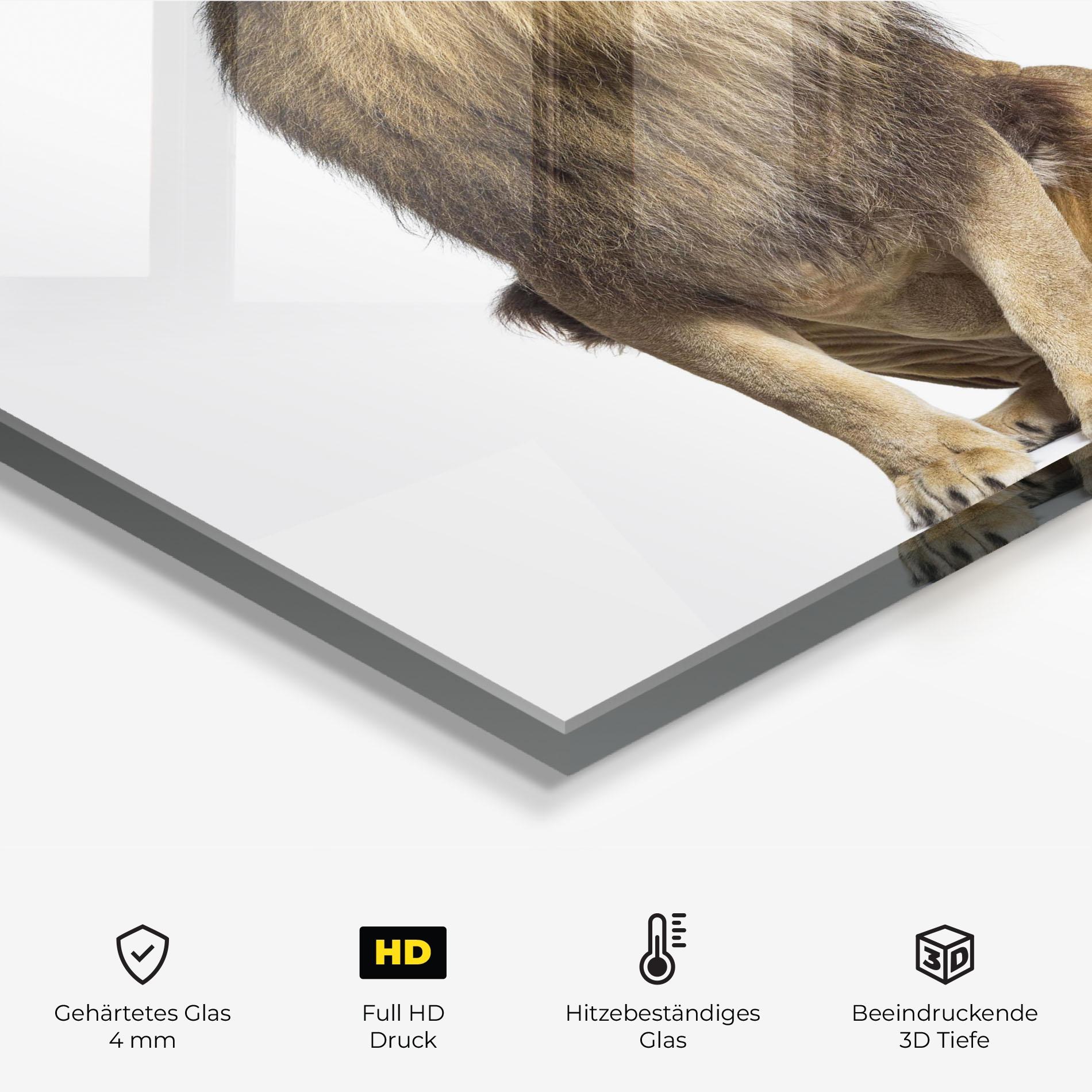 Küchenrückwand Glas Big Lion mockup 2