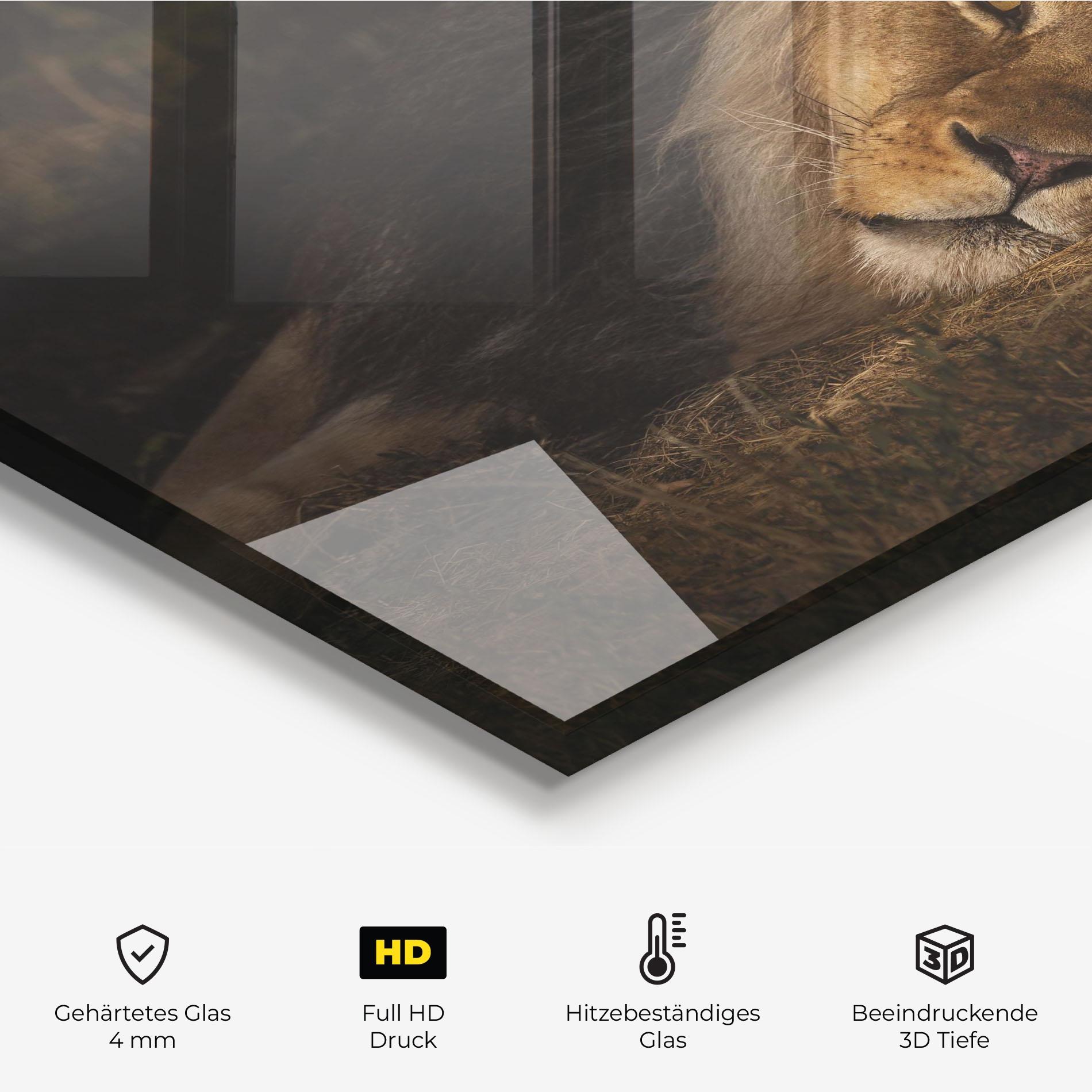 Küchenrückwand Glas Lion Laying Down mockup 2