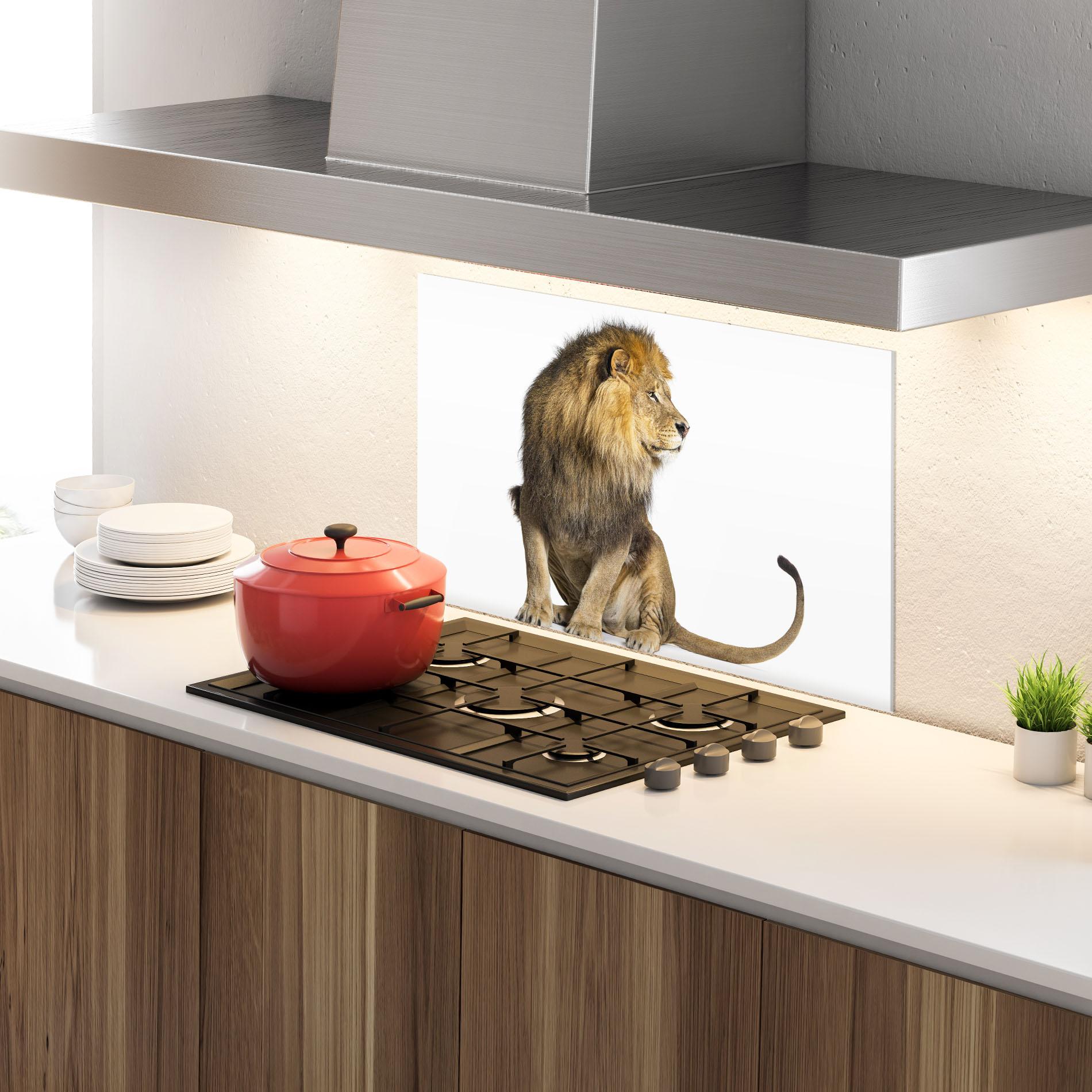 Küchenrückwand Glas Big Lion mockup 4
