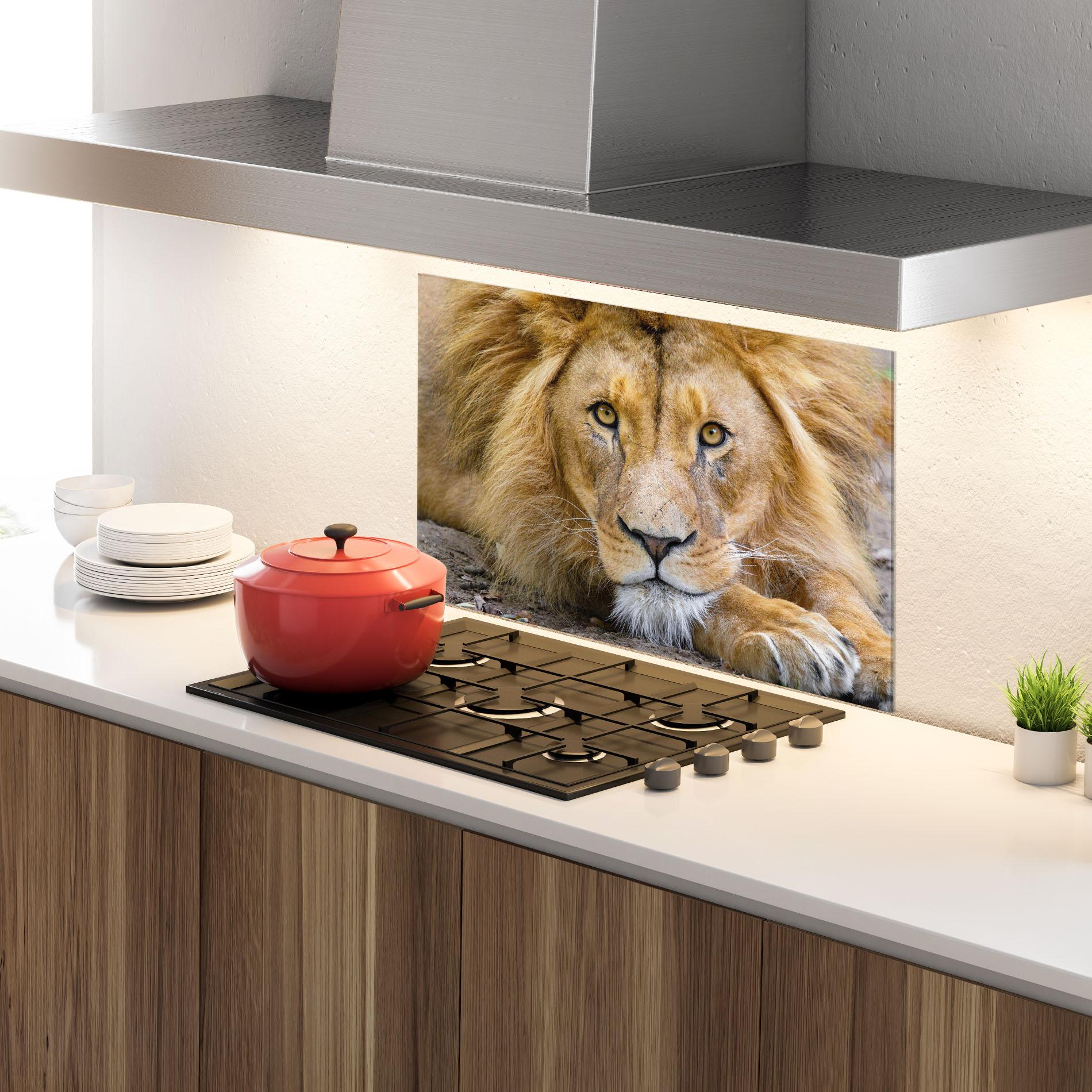 Küchenrückwand Glas Lion Looking mockup 4
