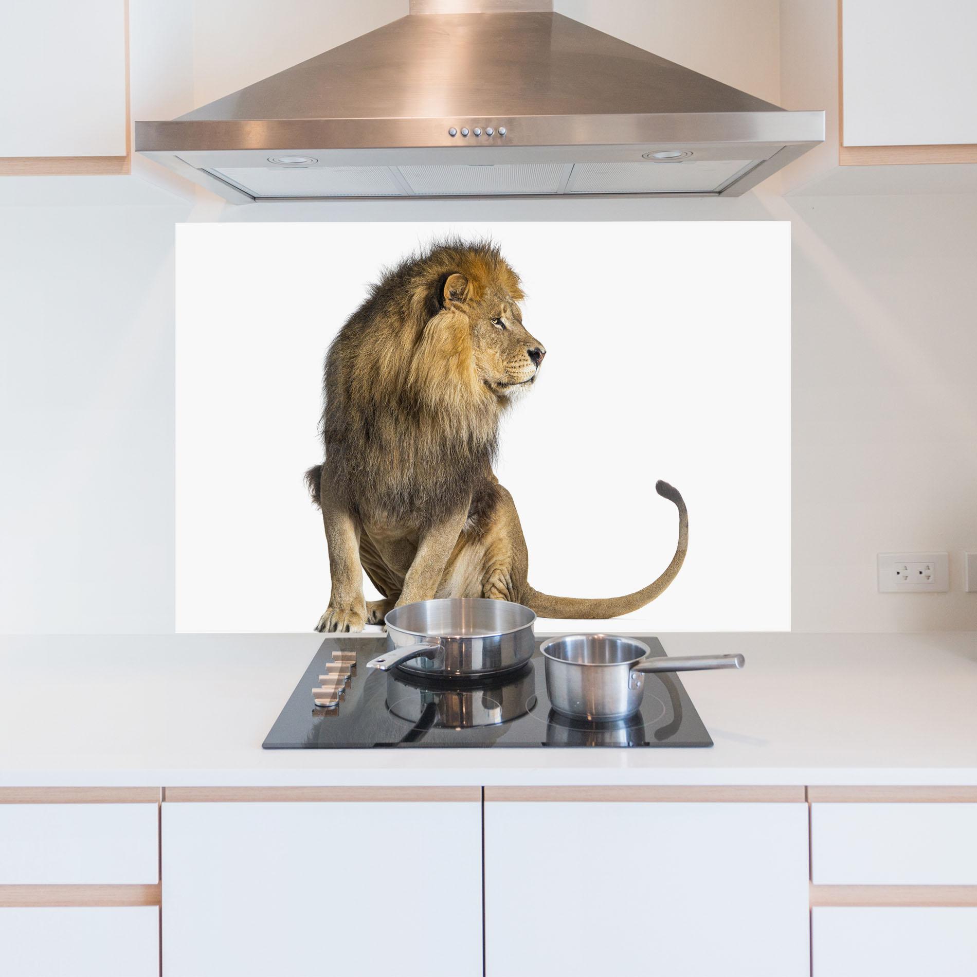 Küchenrückwand Glas Big Lion mockup 5
