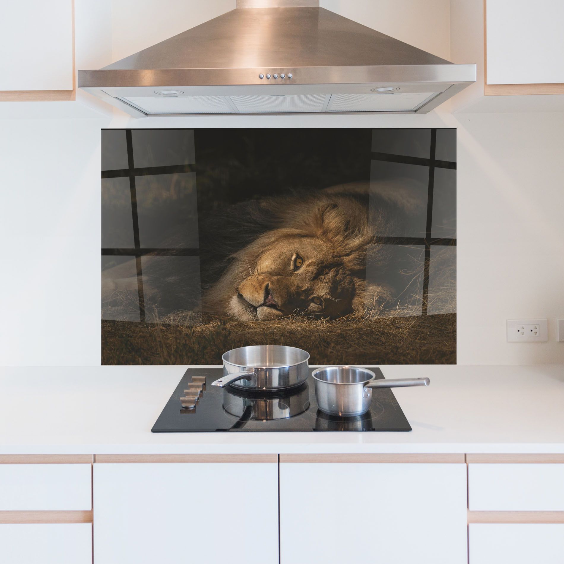 Lion Laying Down mockup 5