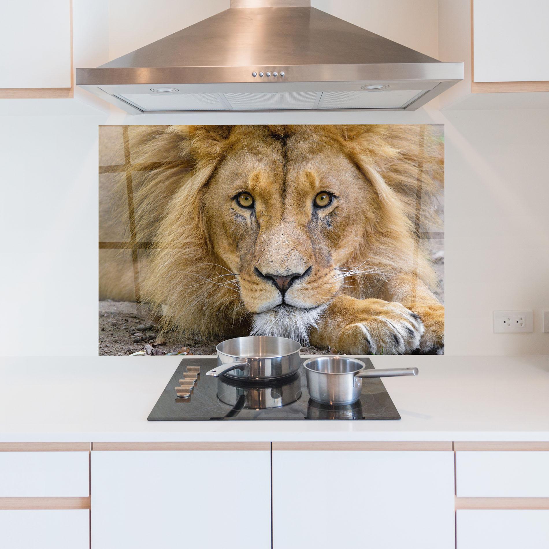 Küchenrückwand Glas Lion Looking mockup 5