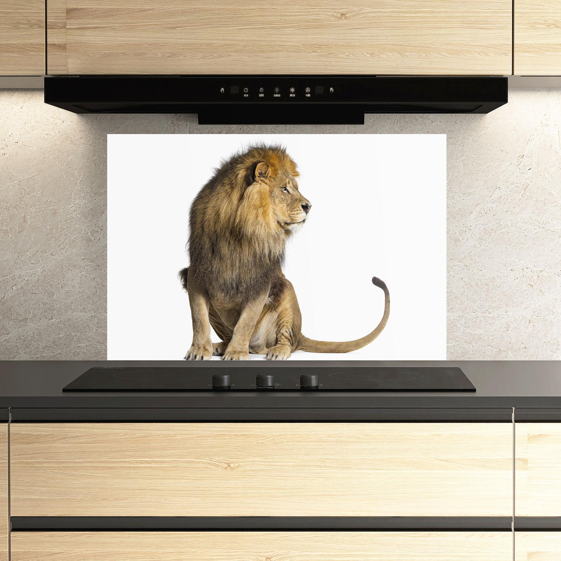Küchenrückwand Glas Big Lion mockup 3