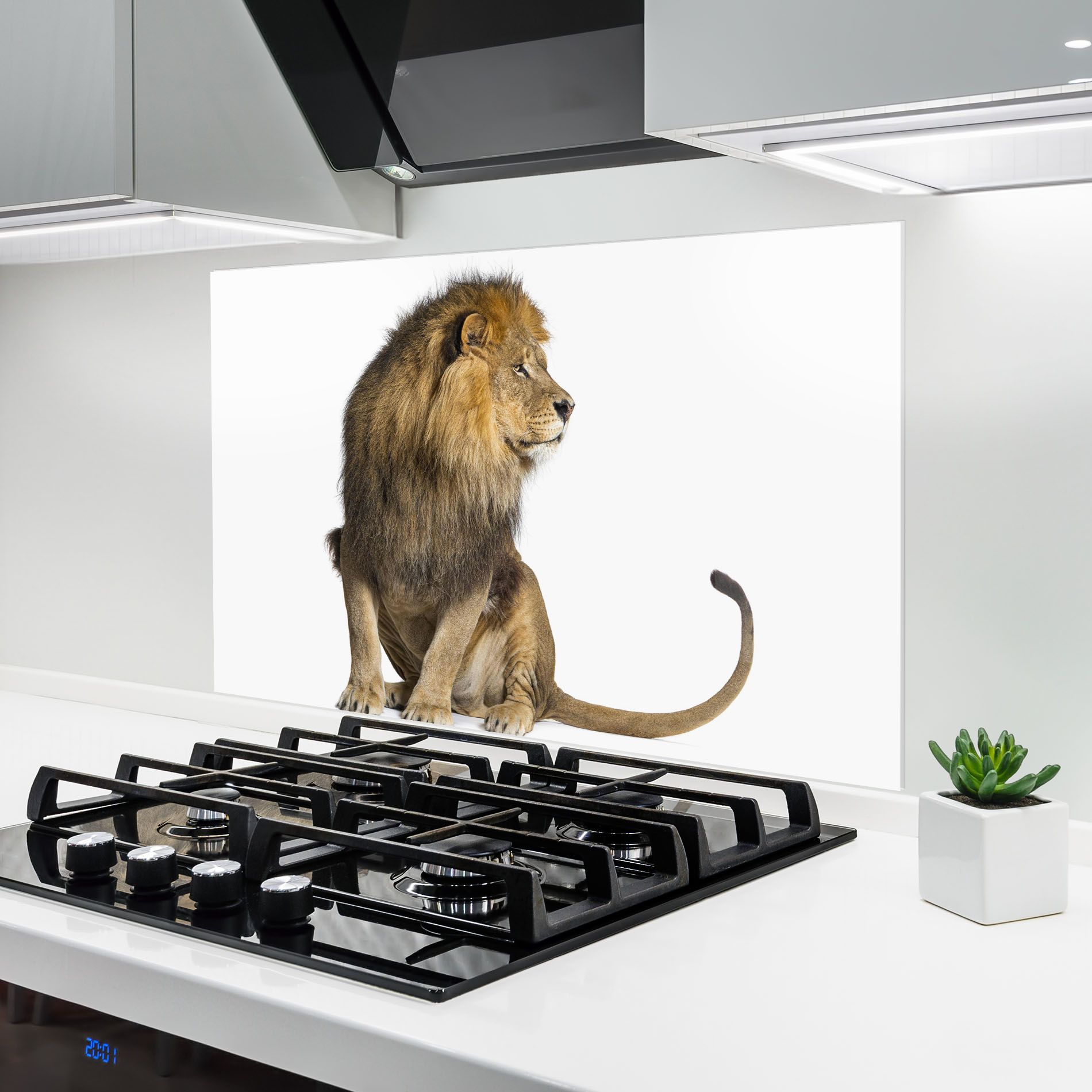 Big Lion mockup 6