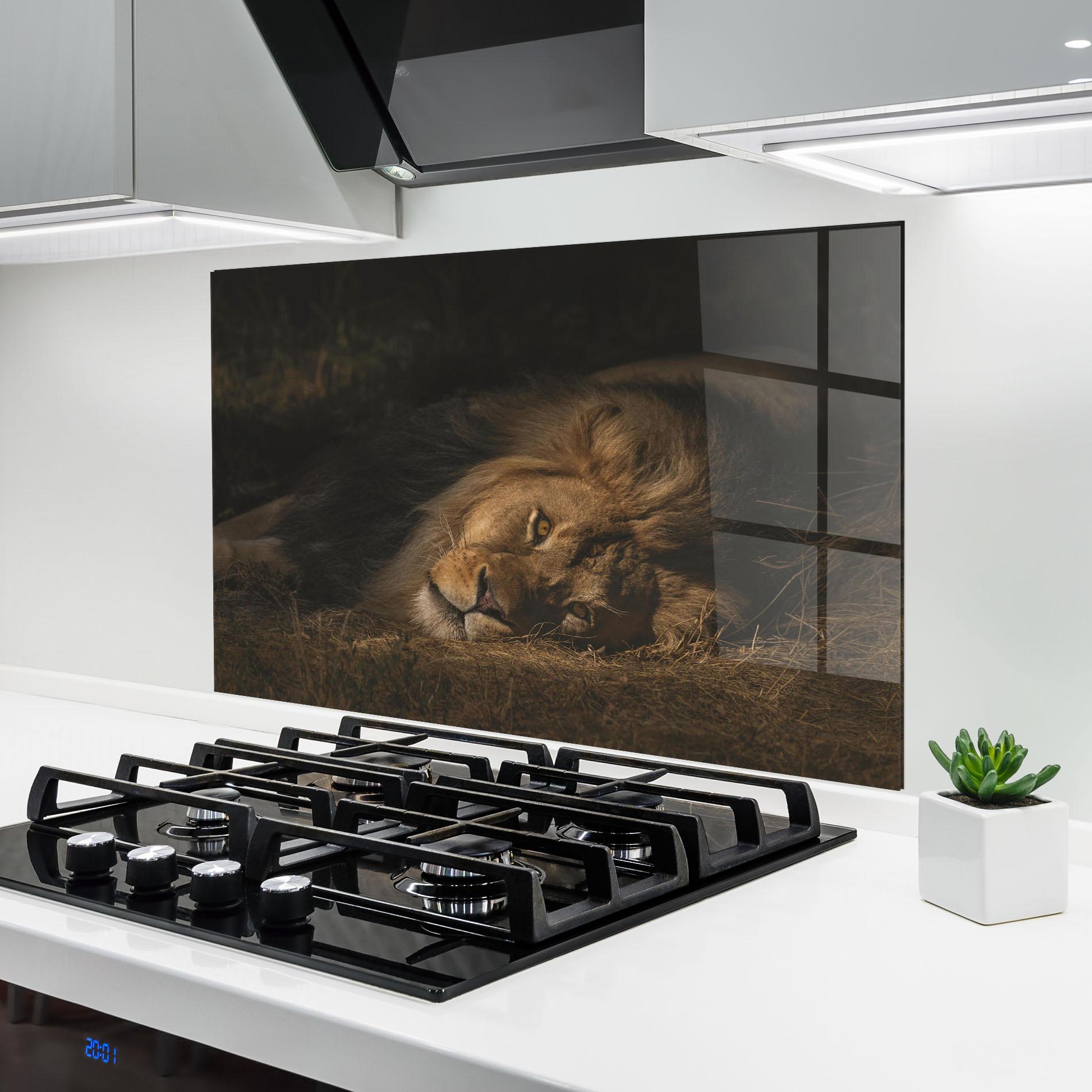 Küchenrückwand Glas Lion Laying Down mockup 6