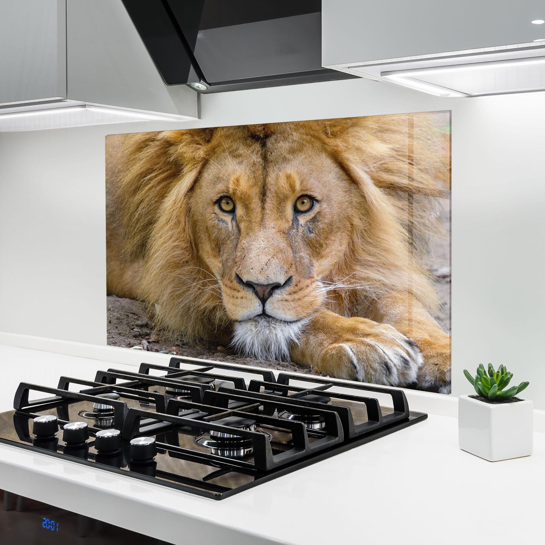 Küchenrückwand Glas Lion Looking mockup 6