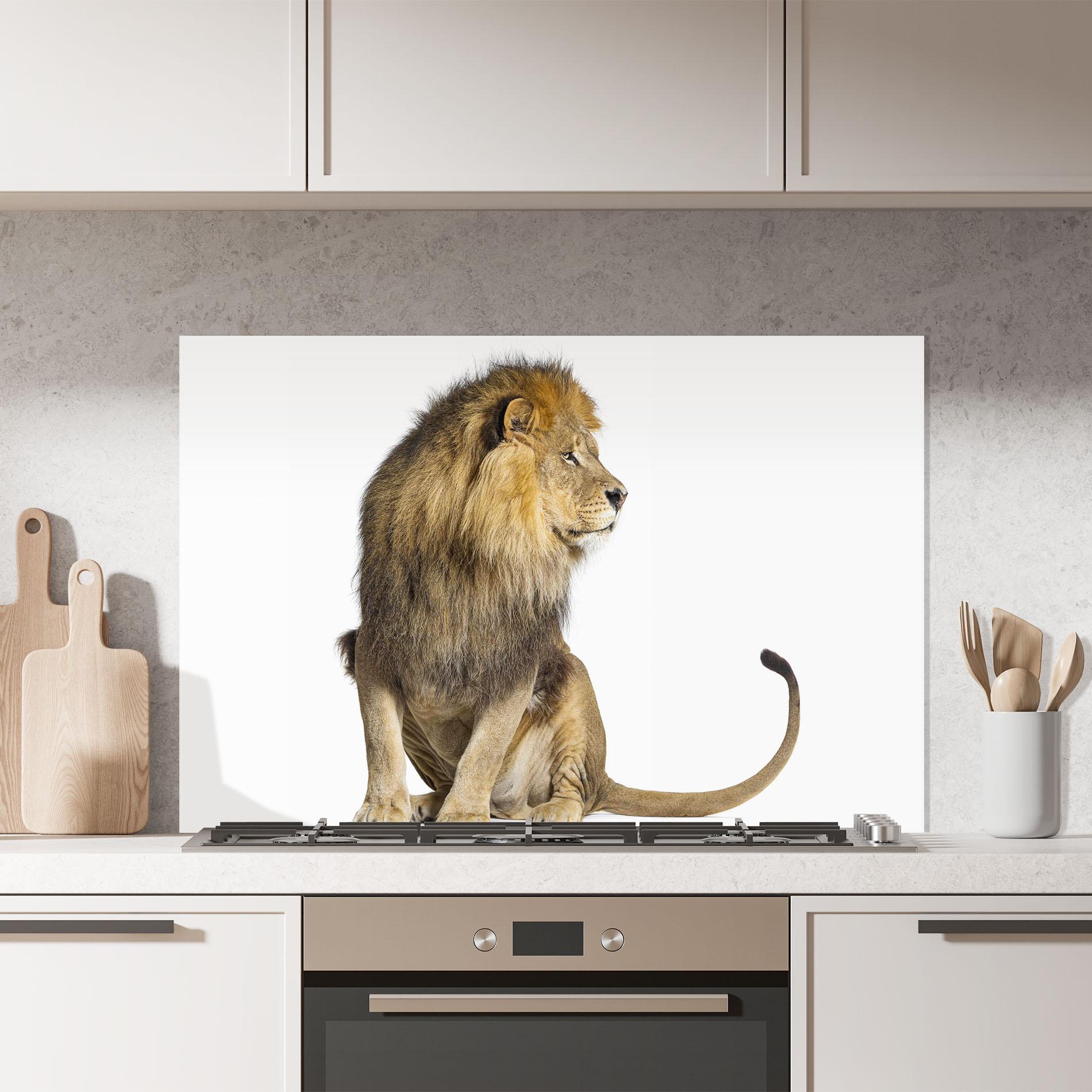Küchenrückwand Glas Big Lion mockup 7