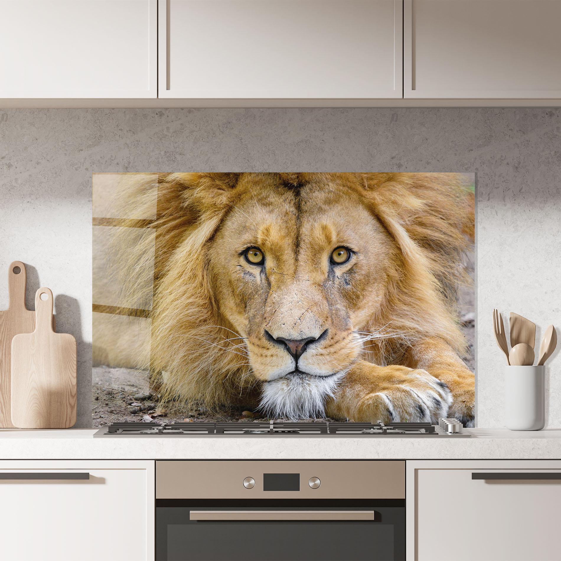 Küchenrückwand Glas Lion Looking mockup 7