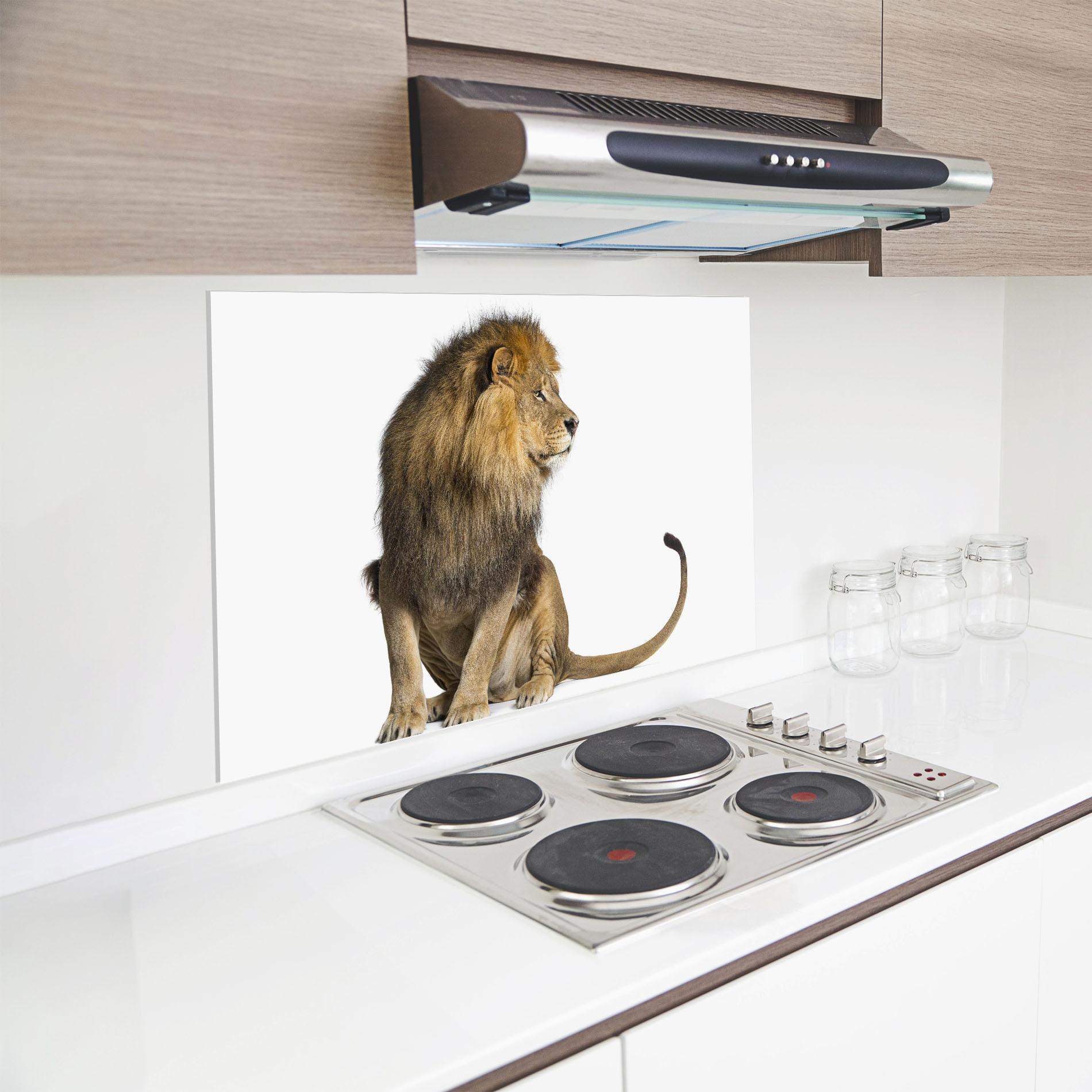 Küchenrückwand Glas Big Lion mockup 8