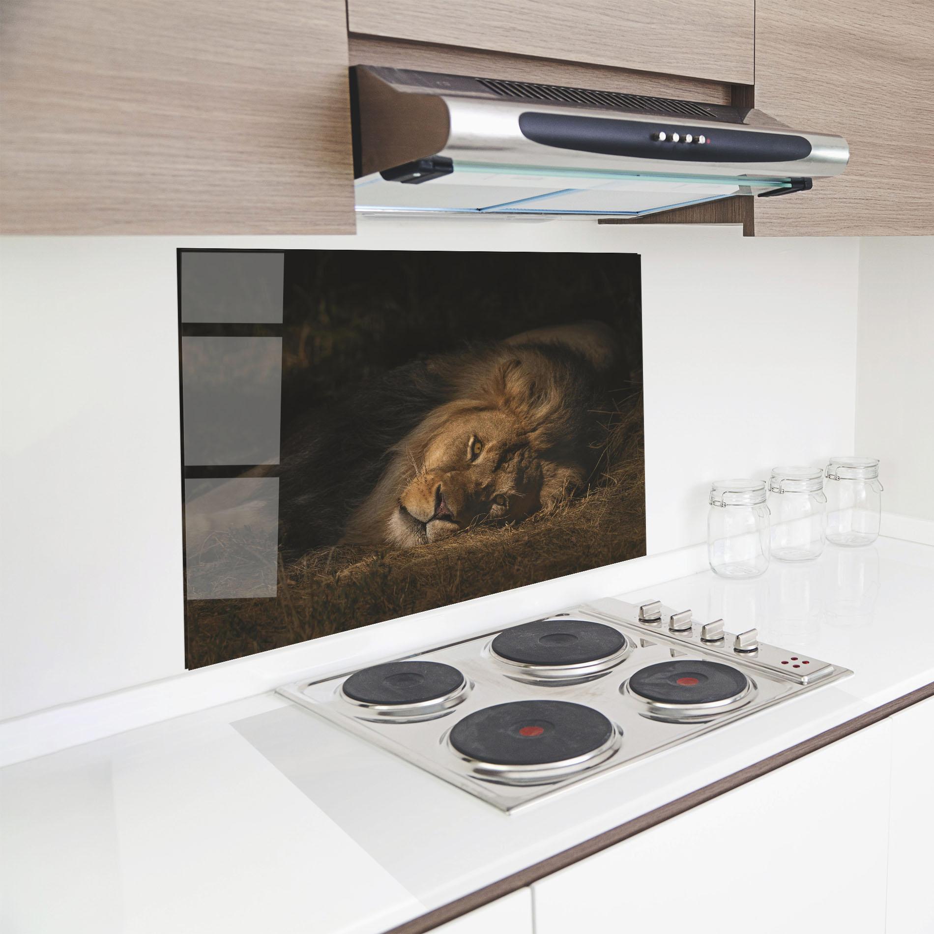 Küchenrückwand Glas Lion Laying Down mockup 8