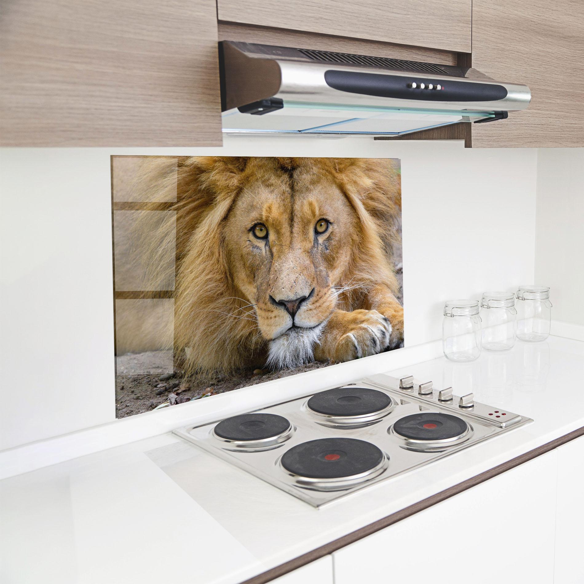 Küchenrückwand Glas Lion Looking mockup 8