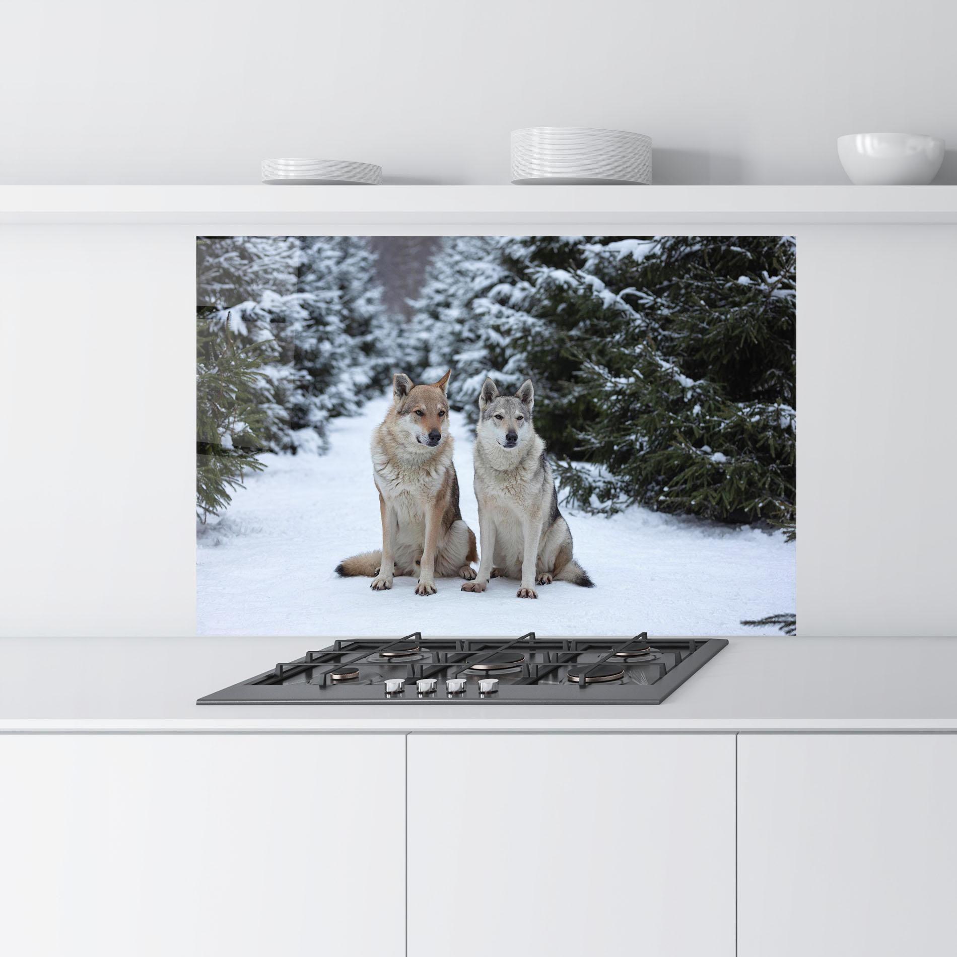 Küchenrückwand Glas 2 Wolfs Sitting mockup 9