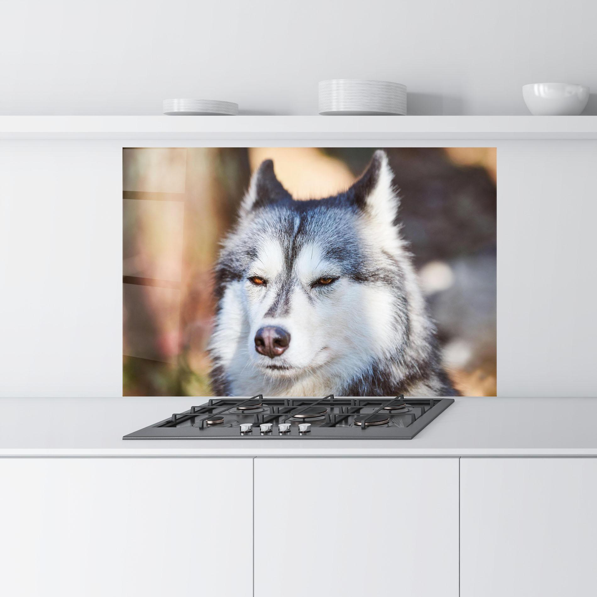Küchenrückwand Glas Annoyed Wolf mockup 9
