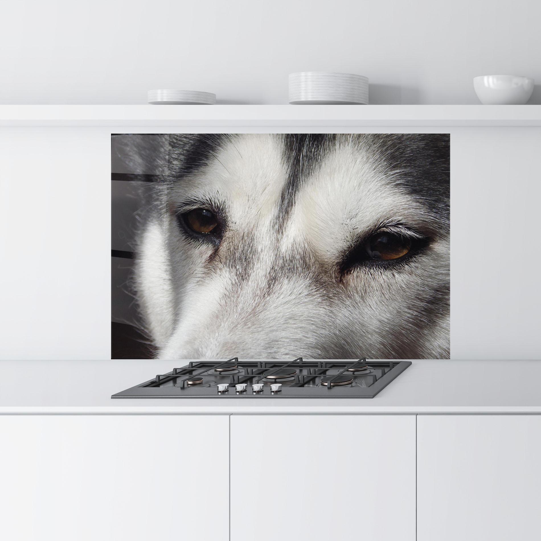 Küchenrückwand Glas Close Up Wolf mockup 9
