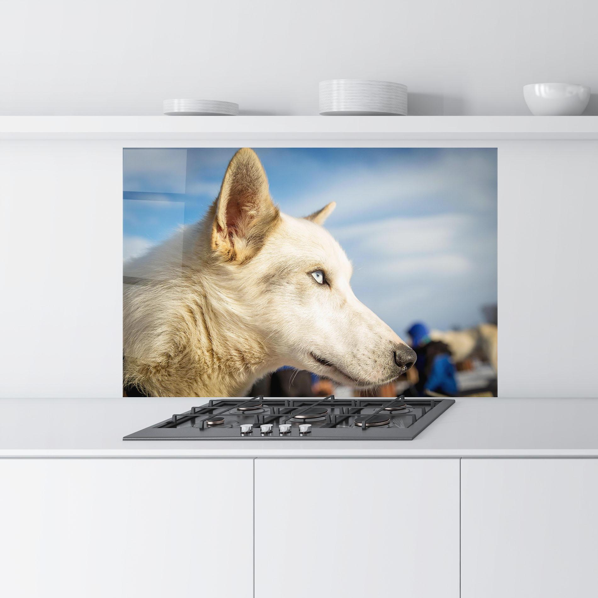 Küchenrückwand Glas White Wolf Looking mockup 9
