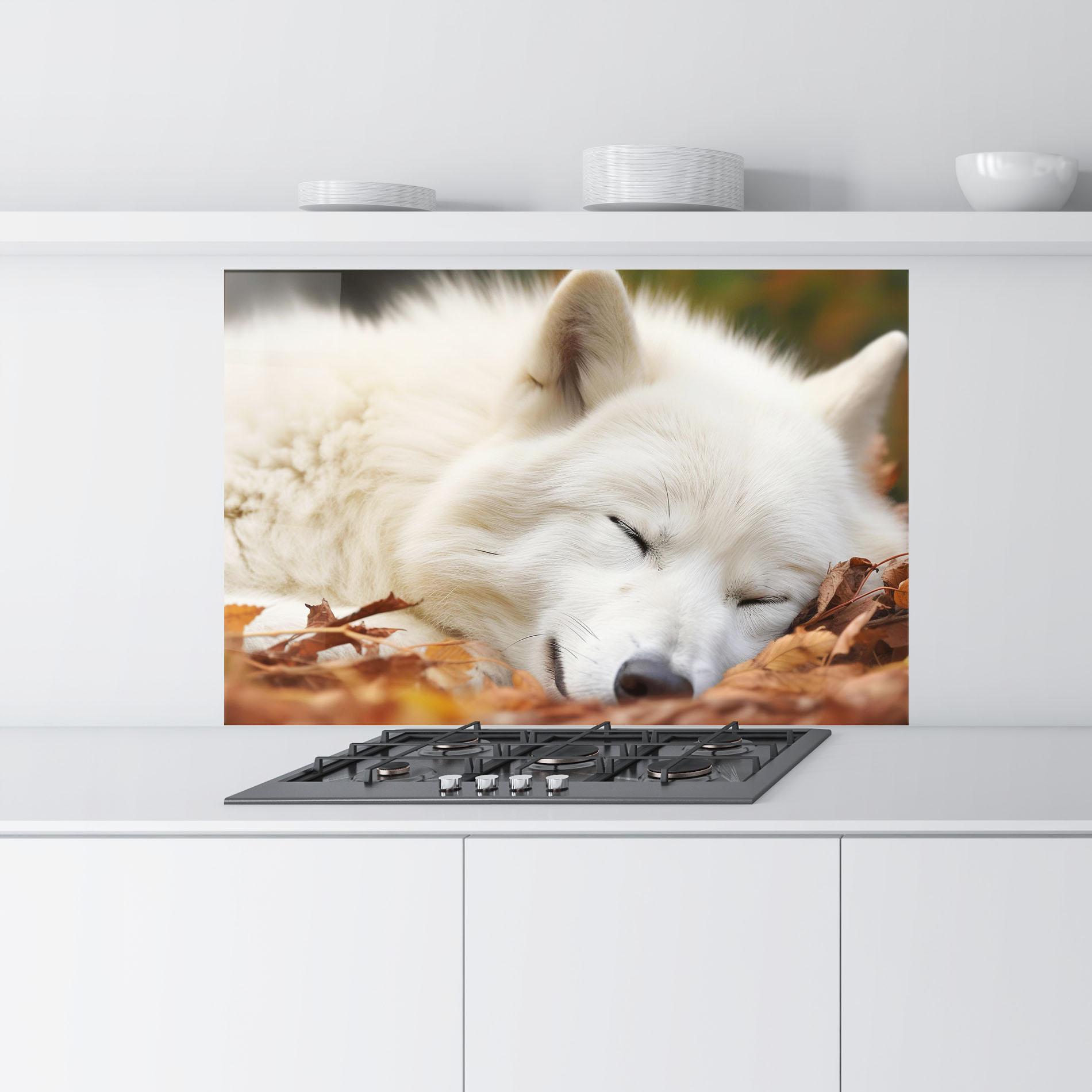Küchenrückwand Glas White Wolf Sleeping mockup 9
