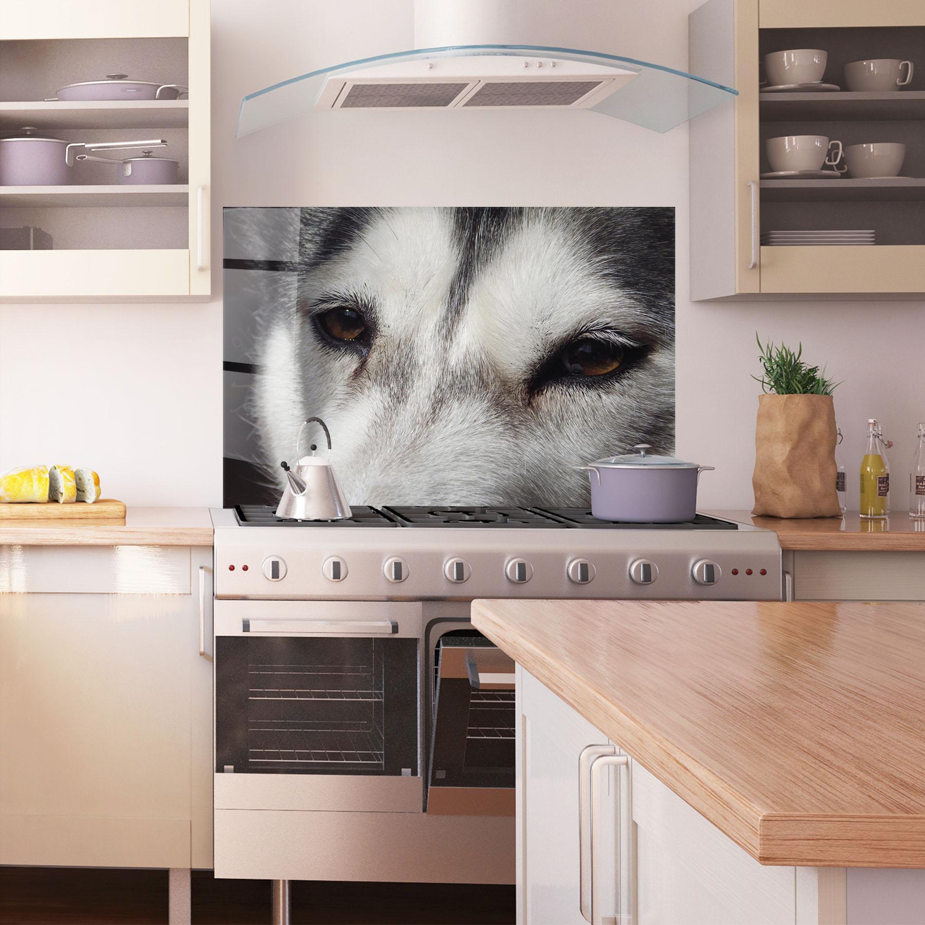 Küchenrückwand Glas Close Up Wolf mockup 1