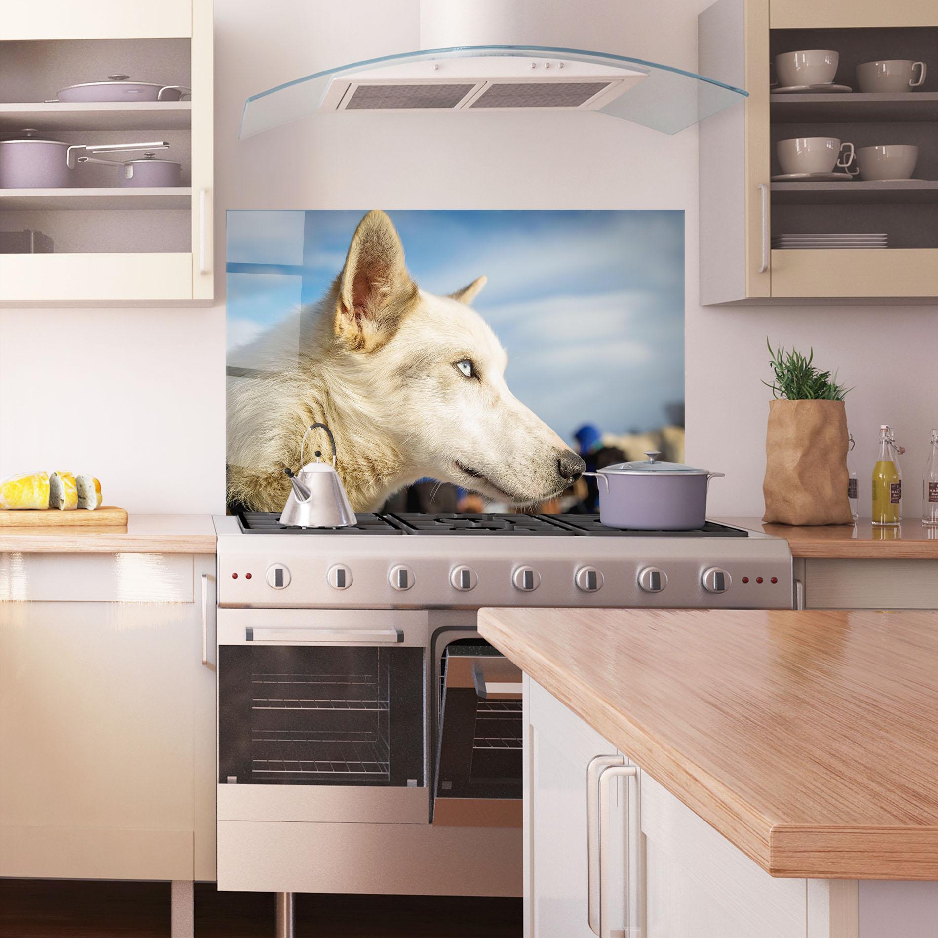 Küchenrückwand Glas White Wolf Looking mockup 1