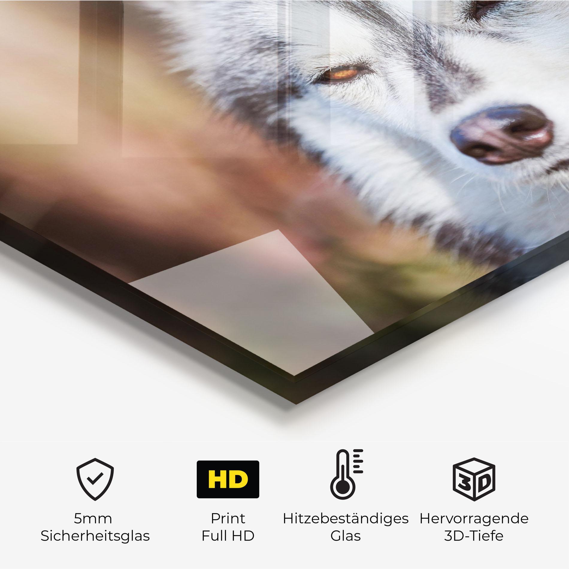 Küchenrückwand Glas Annoyed Wolf mockup 2