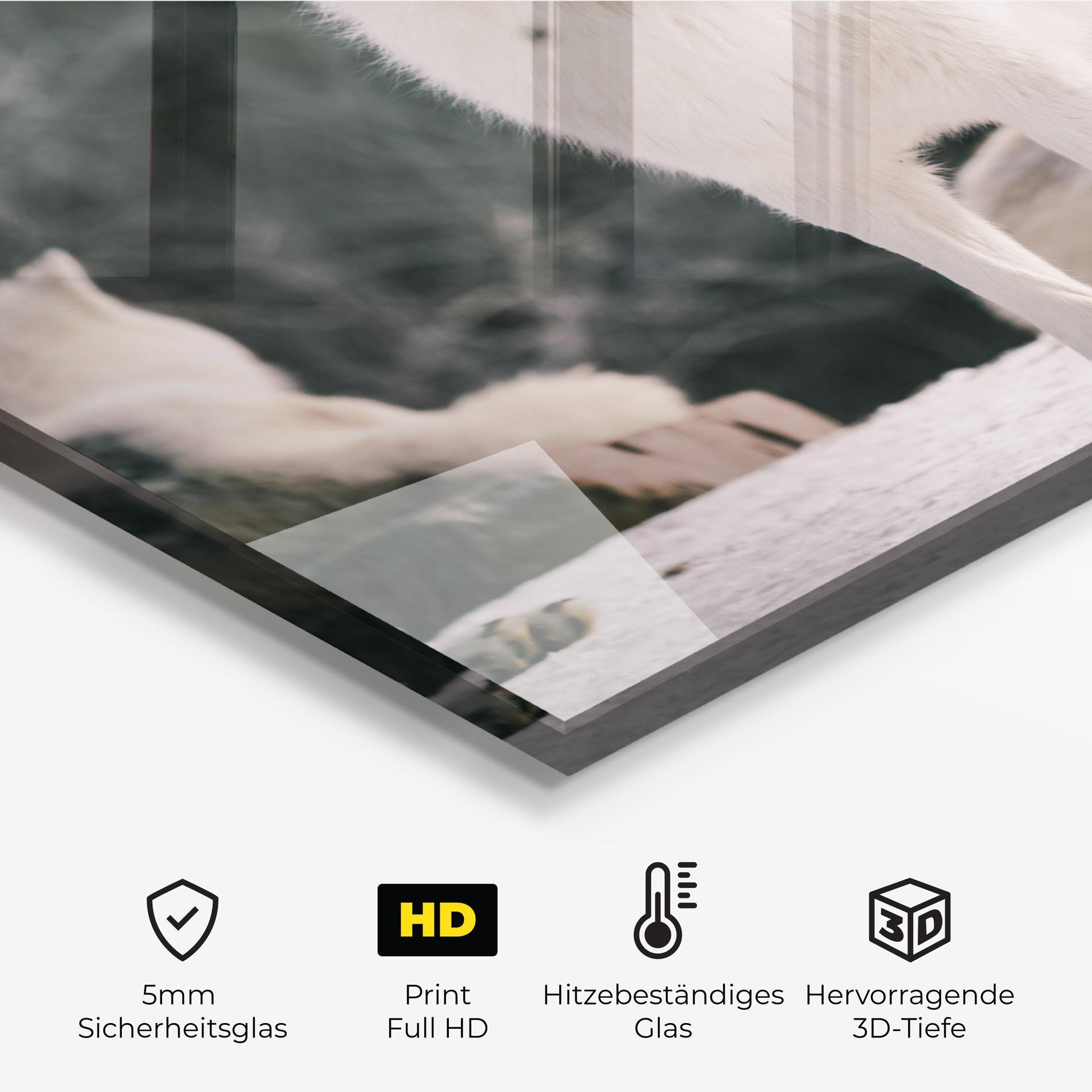 Küchenrückwand Glas Laughing White Wolf mockup 2